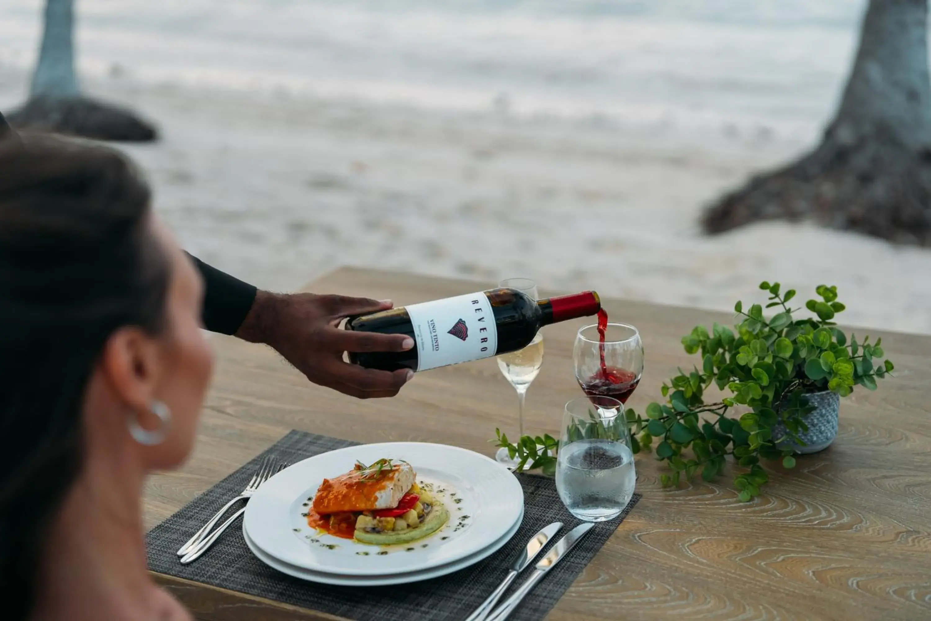 Food close-up in Wyndham Alltra Samana All Inclusive Resort Food close-up in Wyndham Alltra Samana All Inclusive Resort