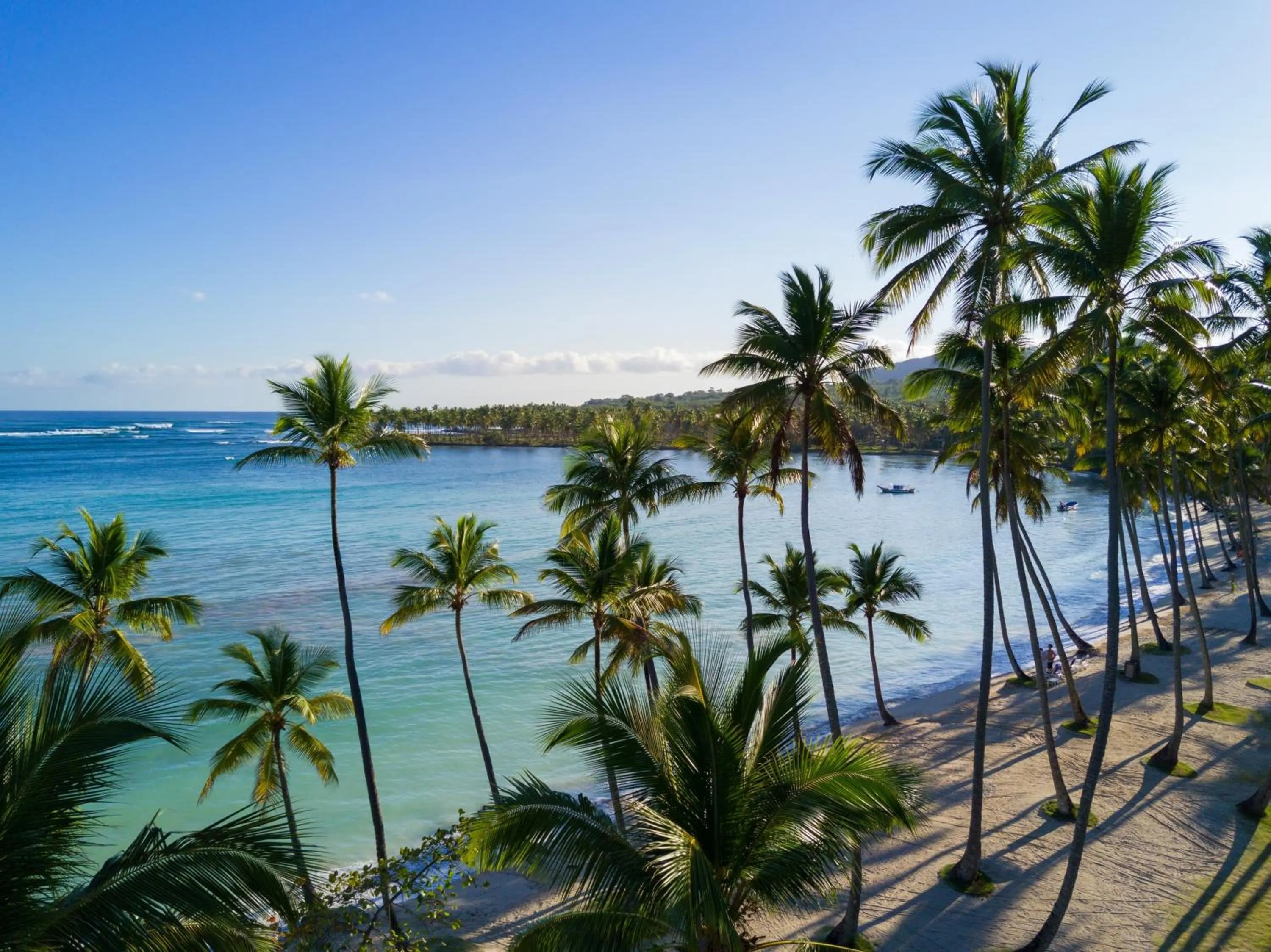 Natural landscape in Wyndham Alltra Samana All Inclusive Resort