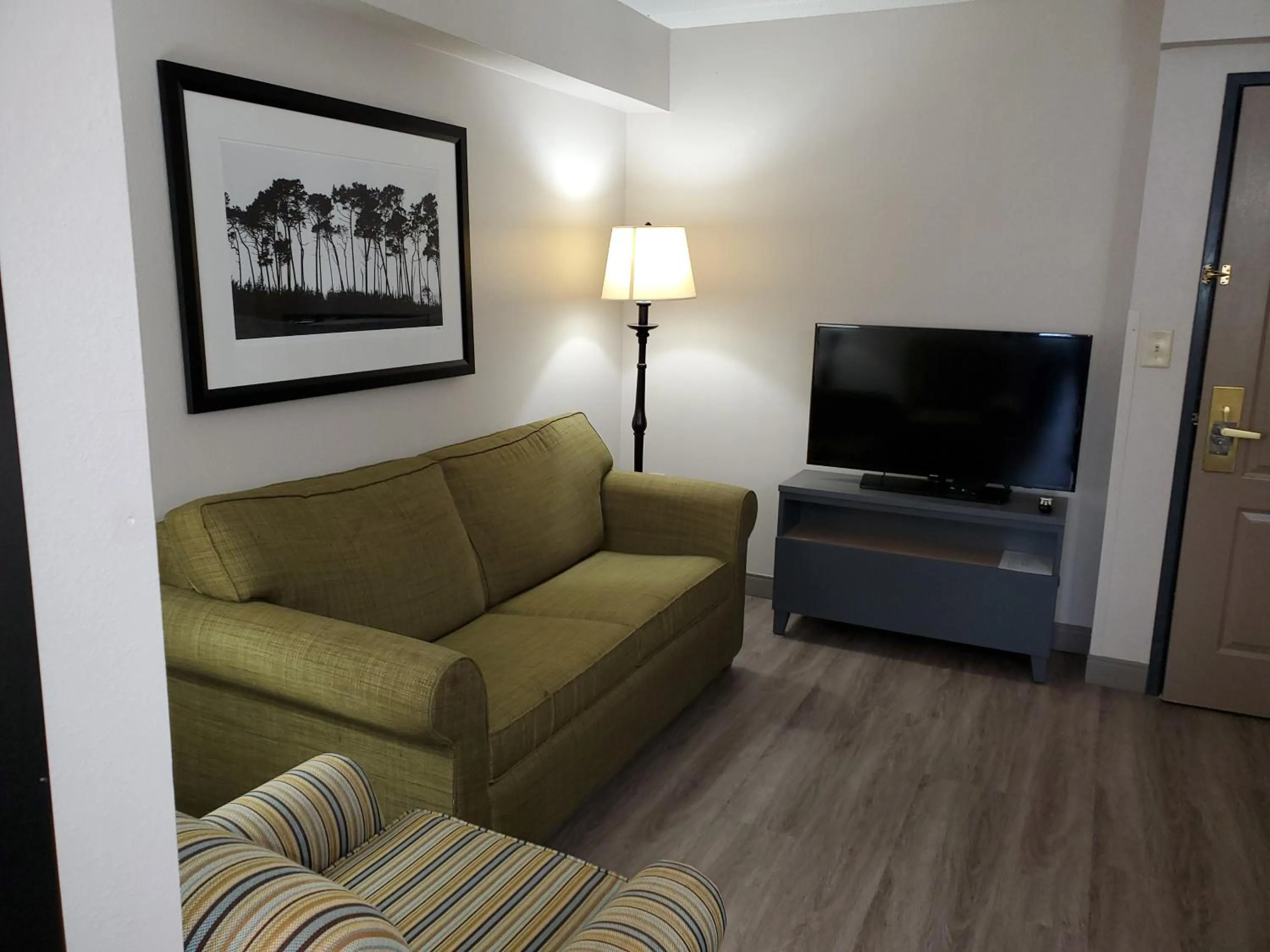 TV and multimedia in Country Inn & Suites by Radisson, Buford at Mall of Georgia, GA