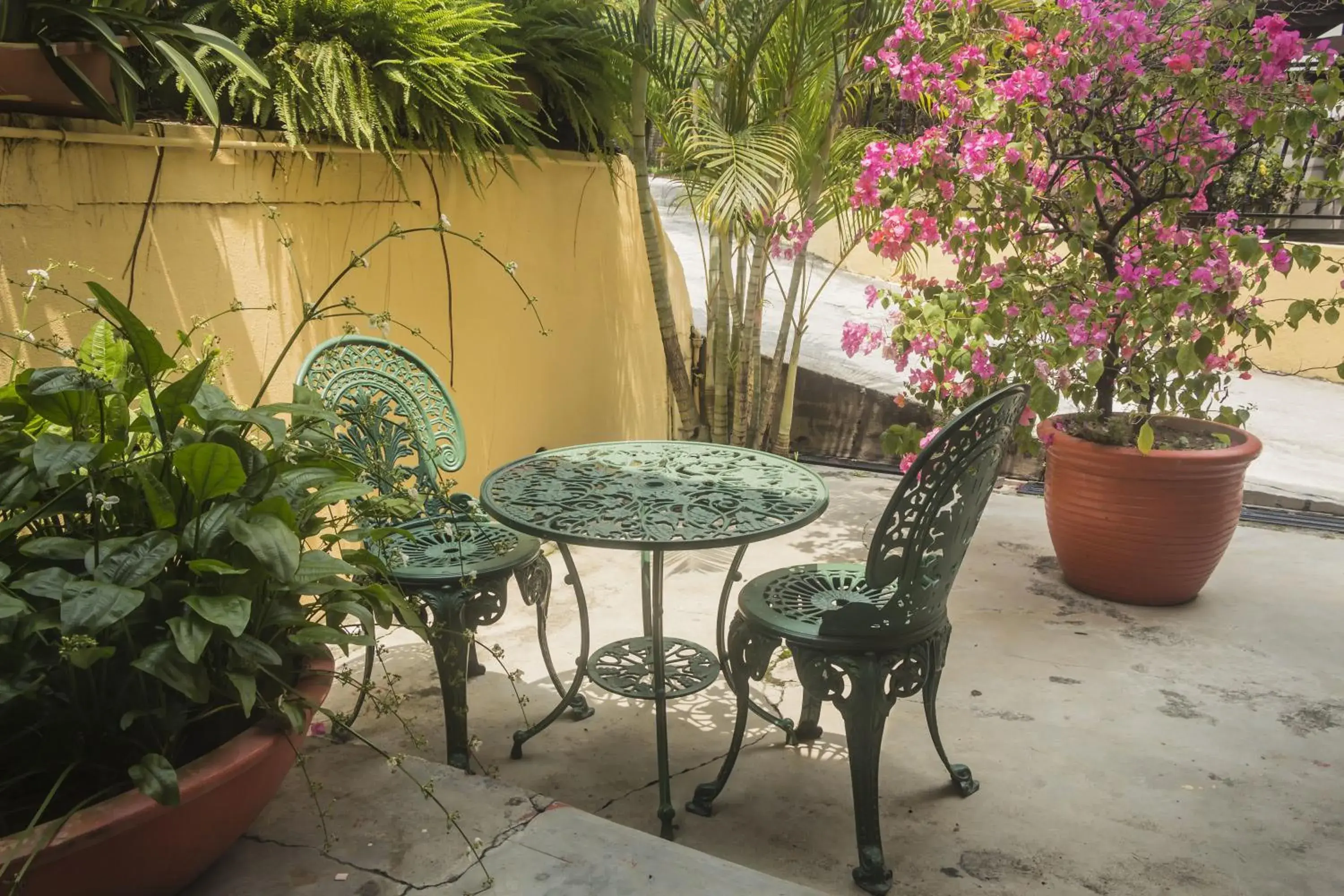 Garden view in Anggerik Lodging Garden view in Anggerik Lodging