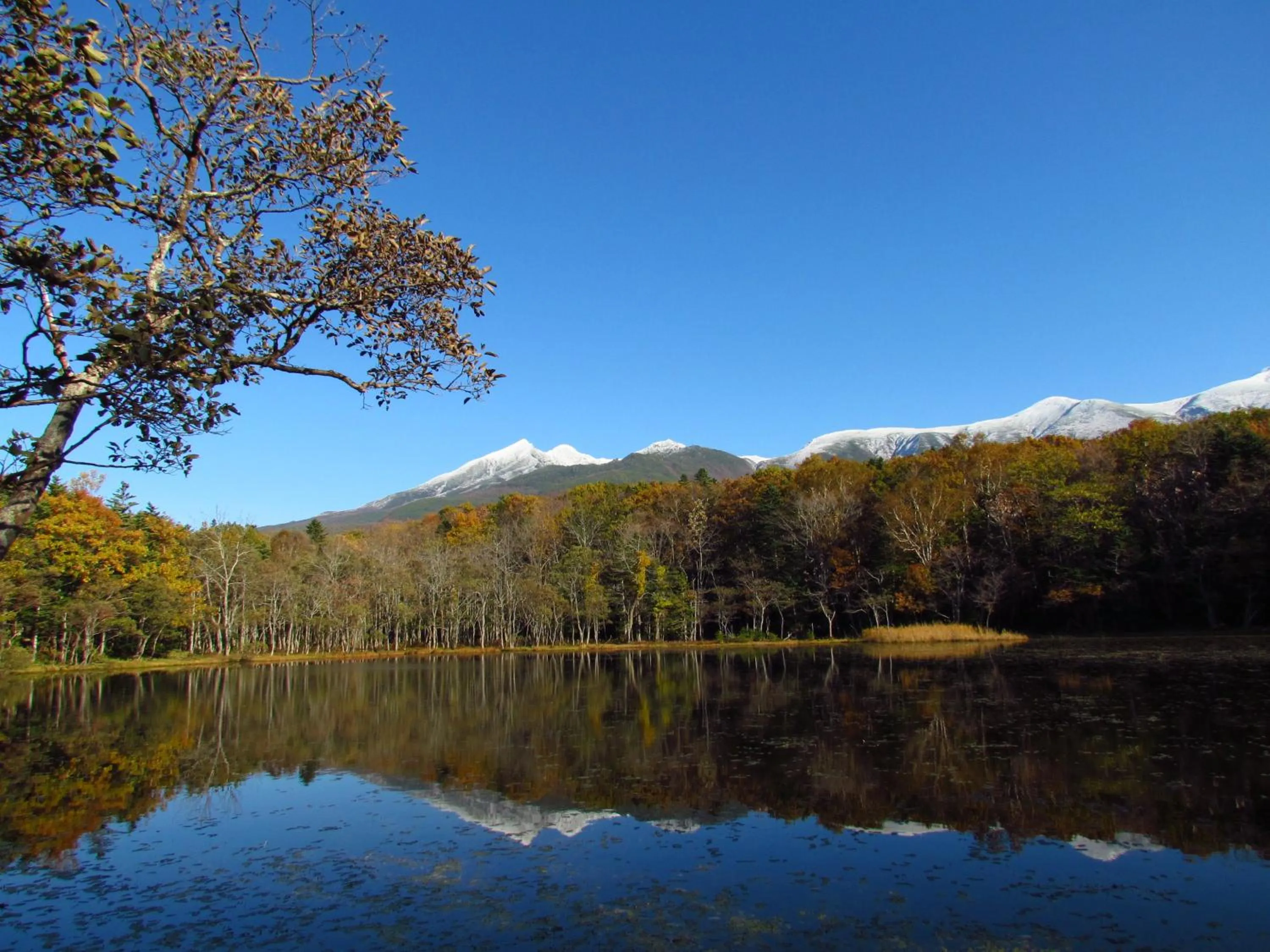 Nearby landmark in Kitakobushi Shiretoko Hotel & Resort