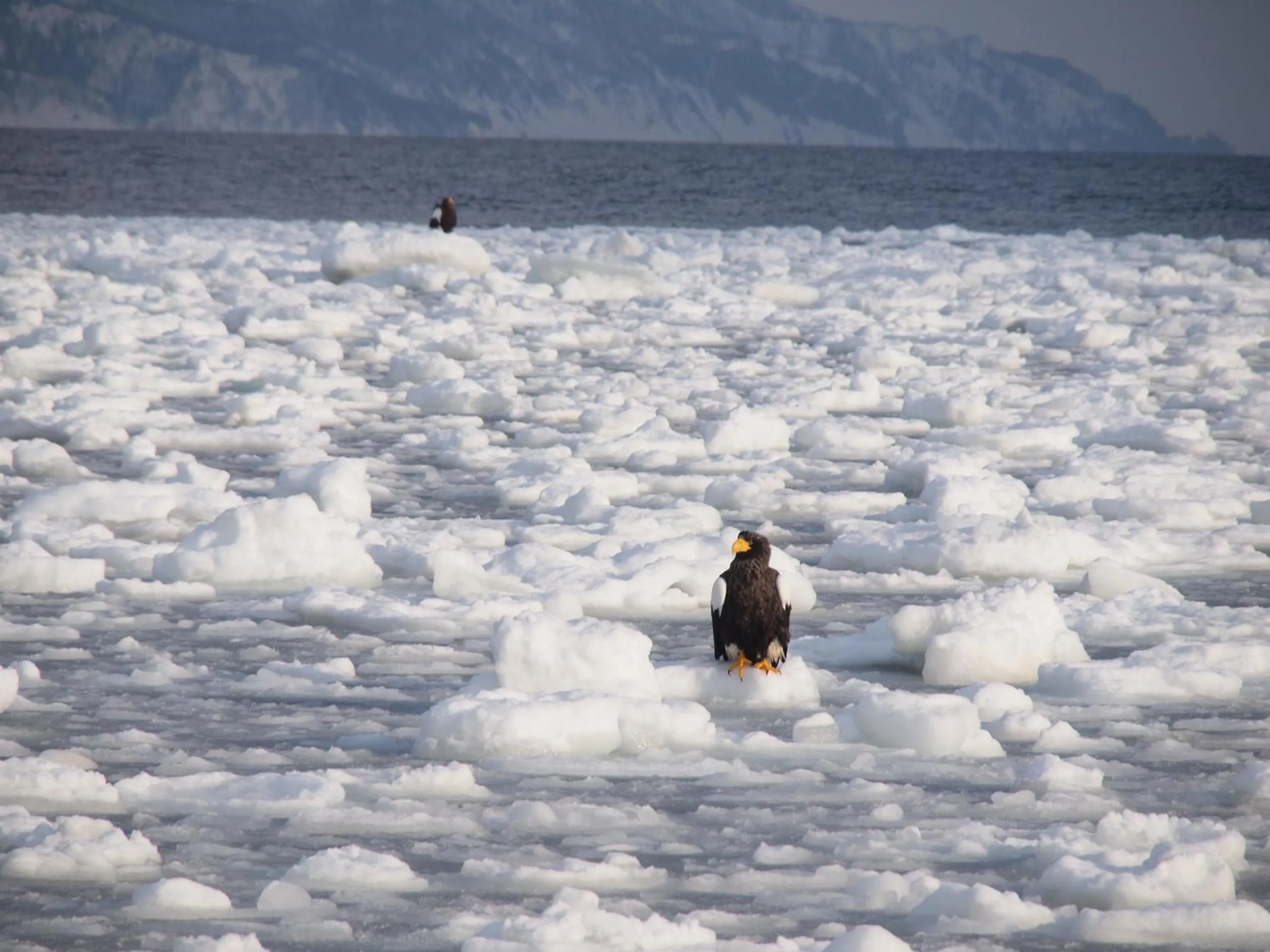 Off site in Kitakobushi Shiretoko Hotel & Resort