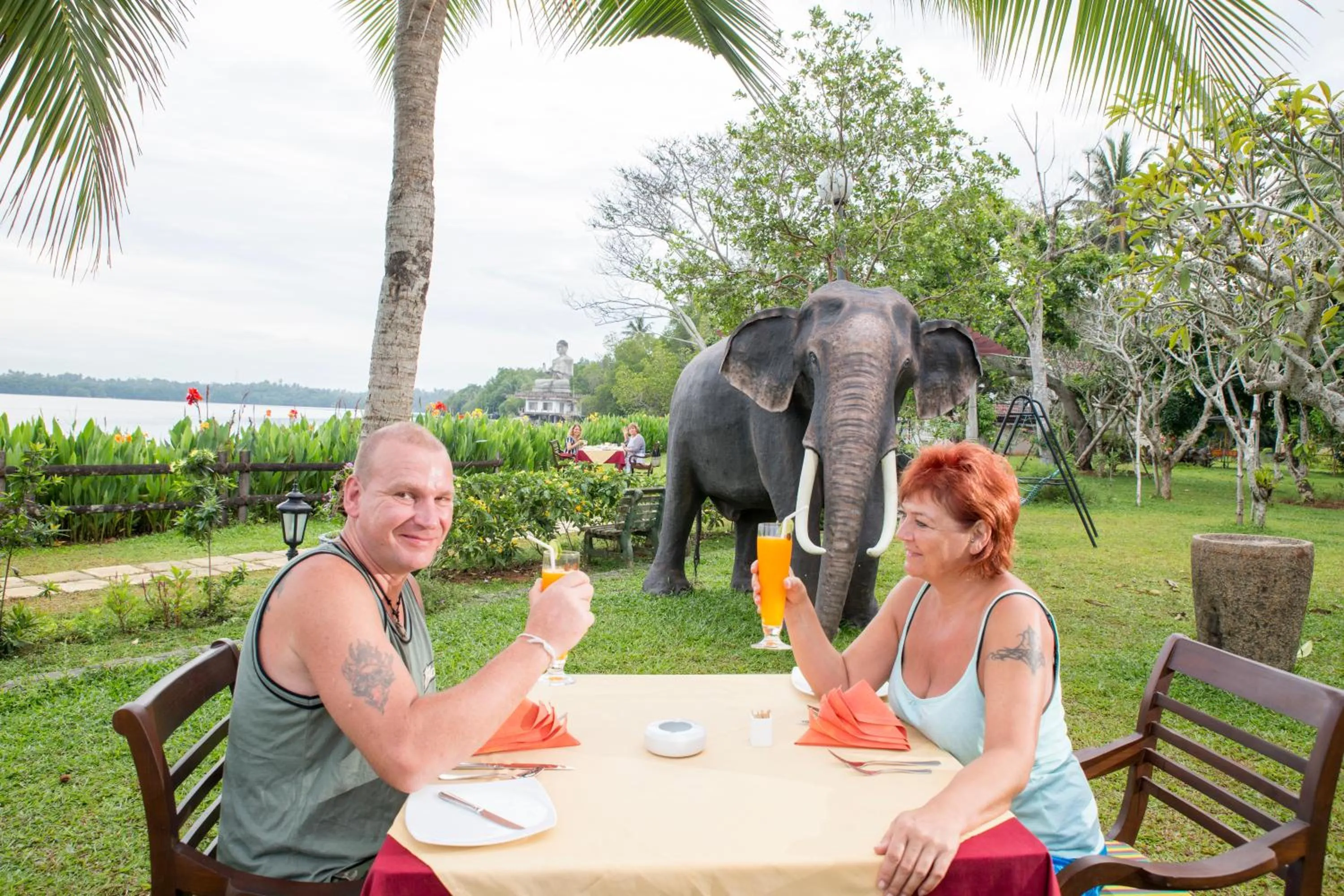 Natural landscape in AIDA Hotel - Bentota
