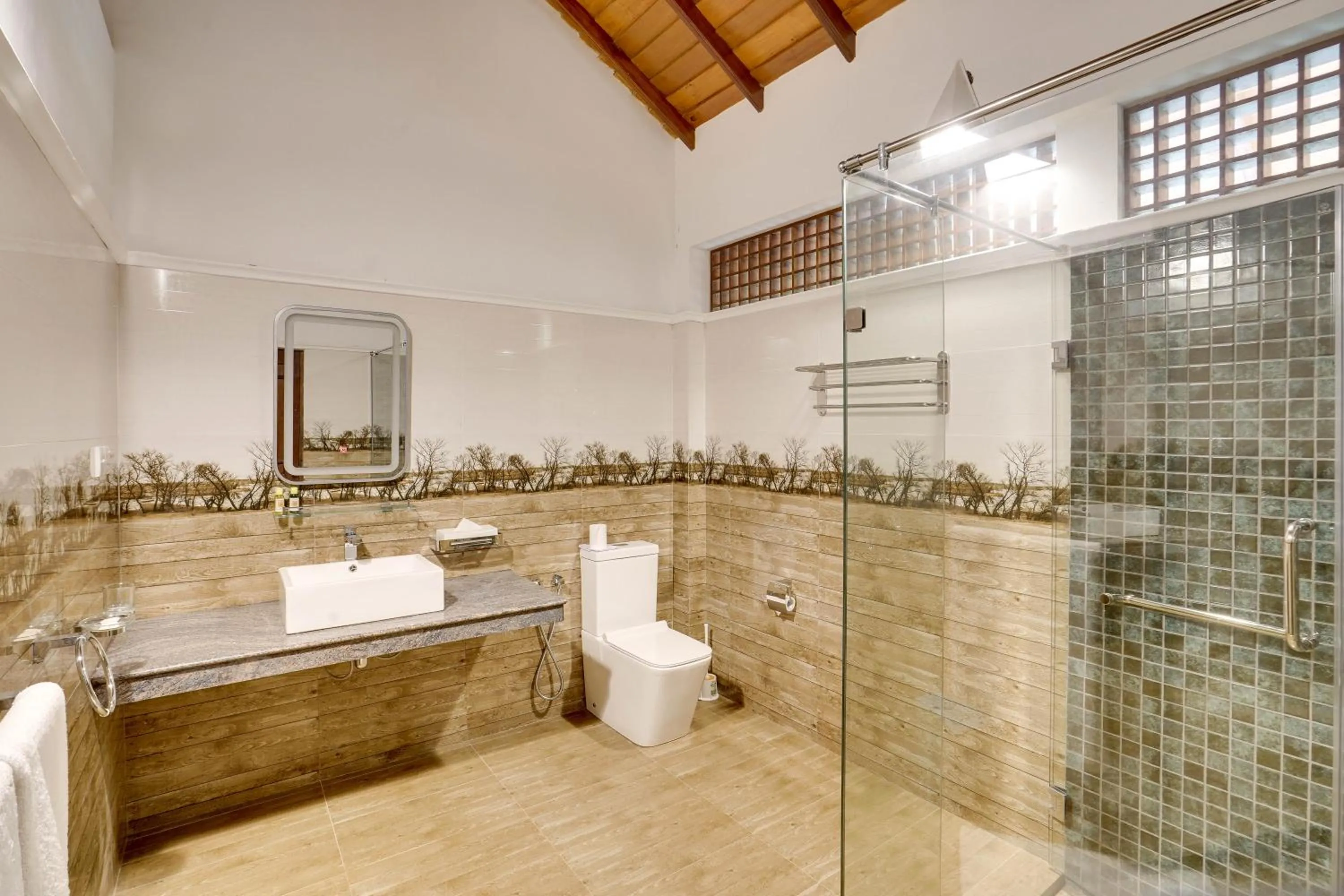 Bathroom in AIDA Hotel - Bentota