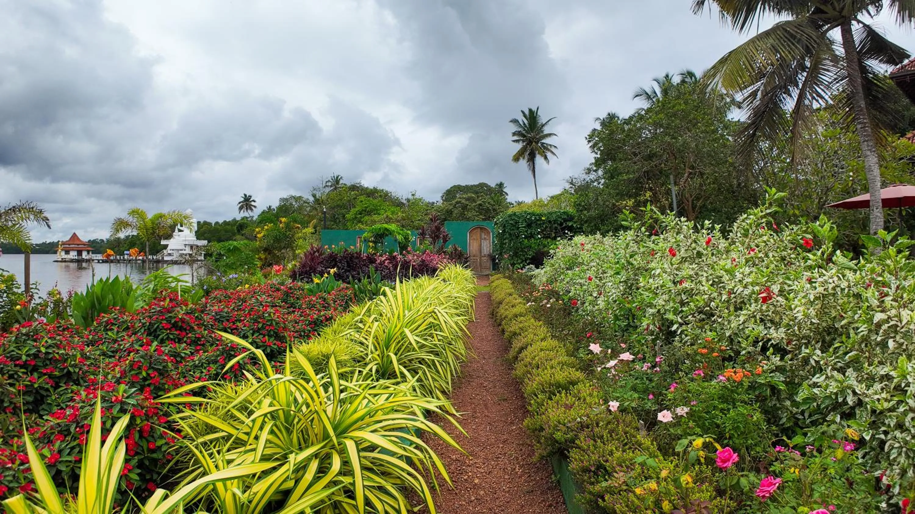 Garden in AIDA Hotel - Bentota