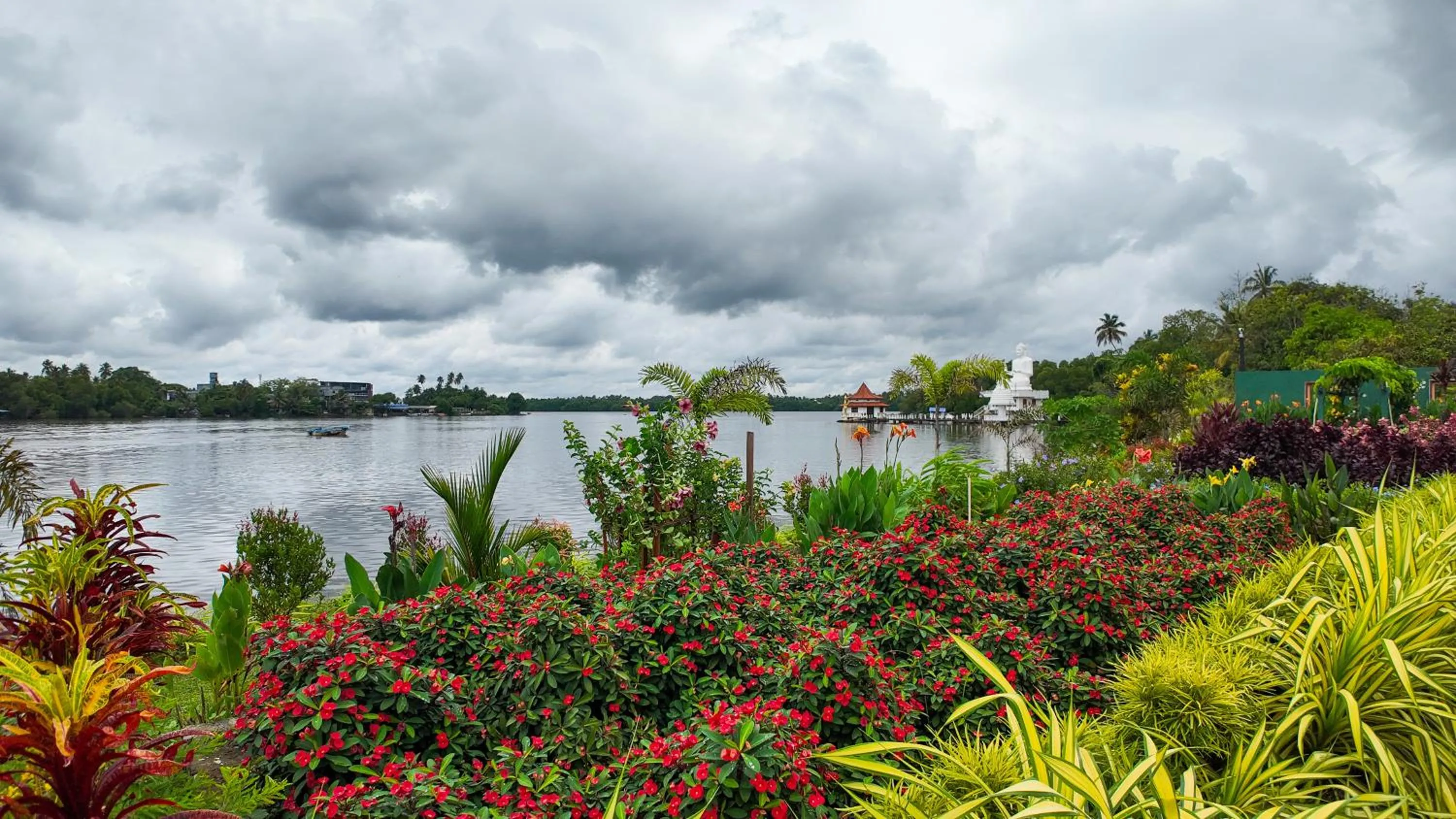 Garden in AIDA Hotel - Bentota