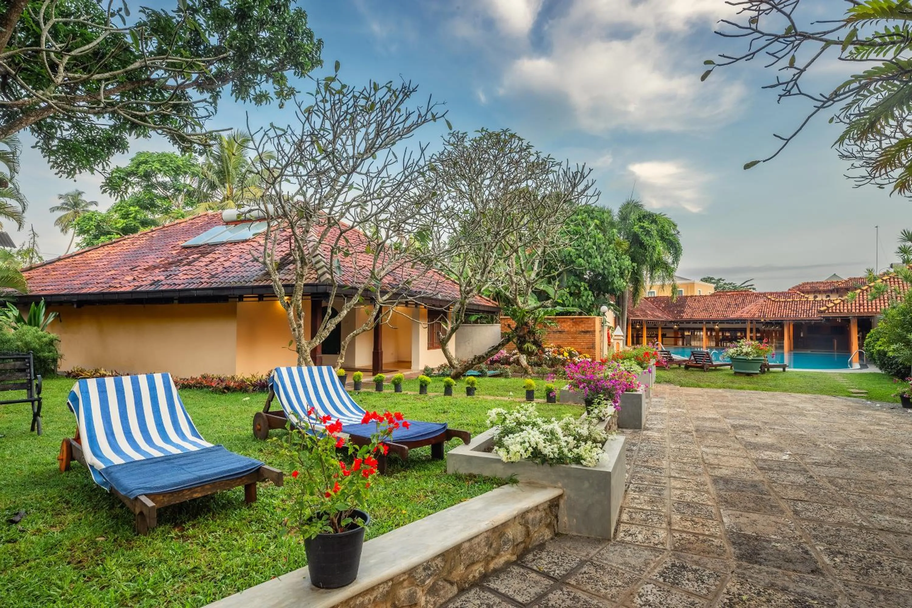 Garden in AIDA Hotel - Bentota