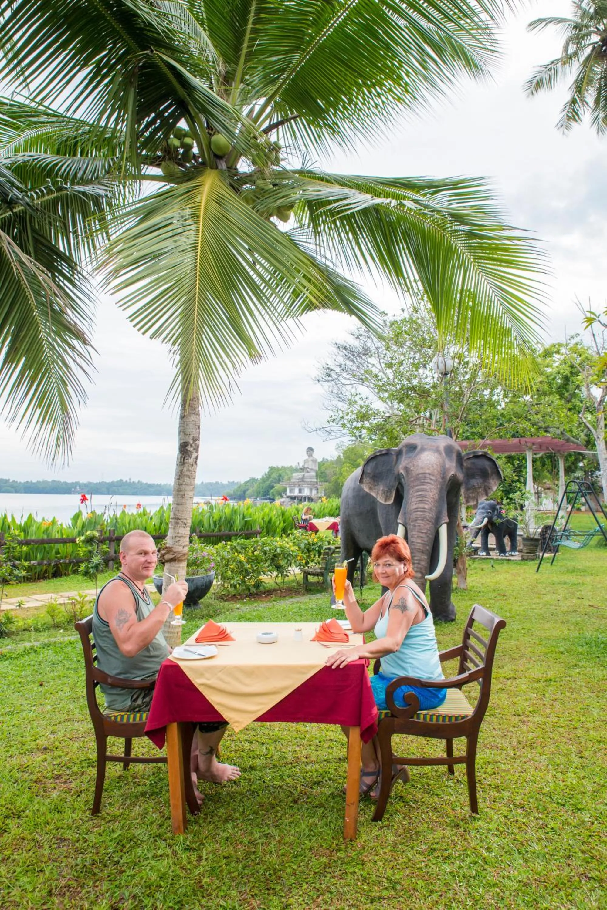 Natural landscape in AIDA Hotel - Bentota