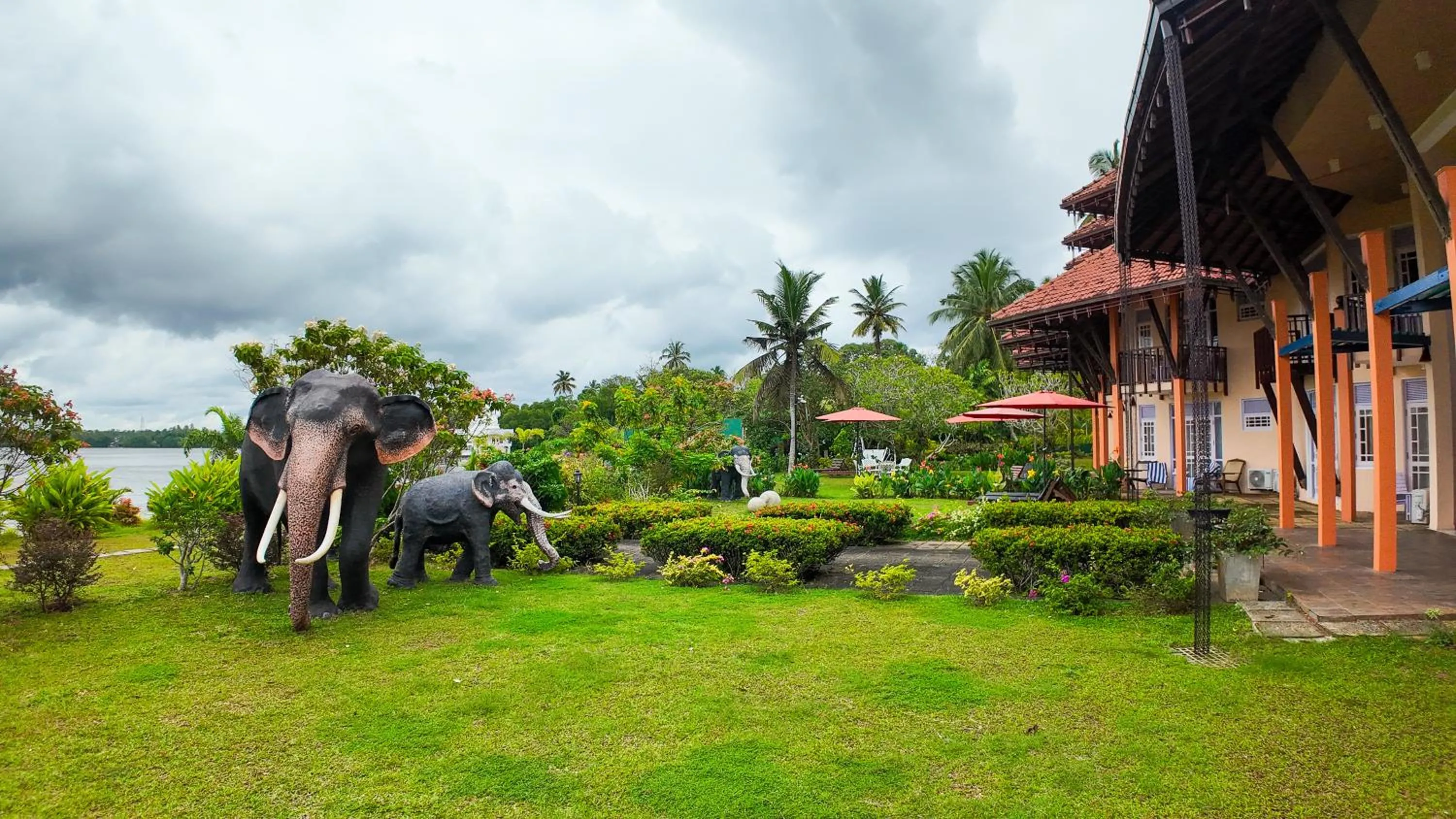 Garden in AIDA Hotel - Bentota