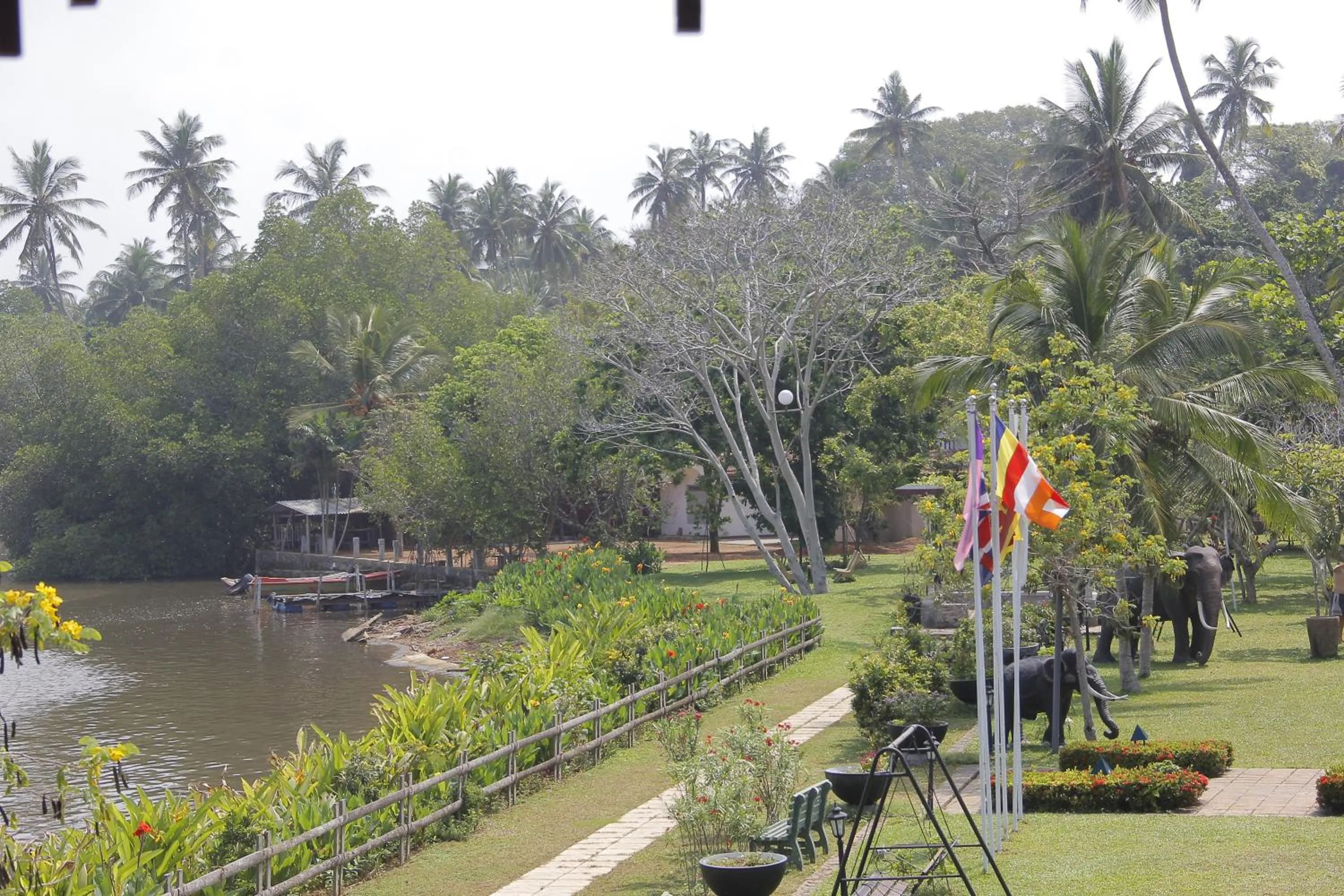 Garden in AIDA Hotel - Bentota