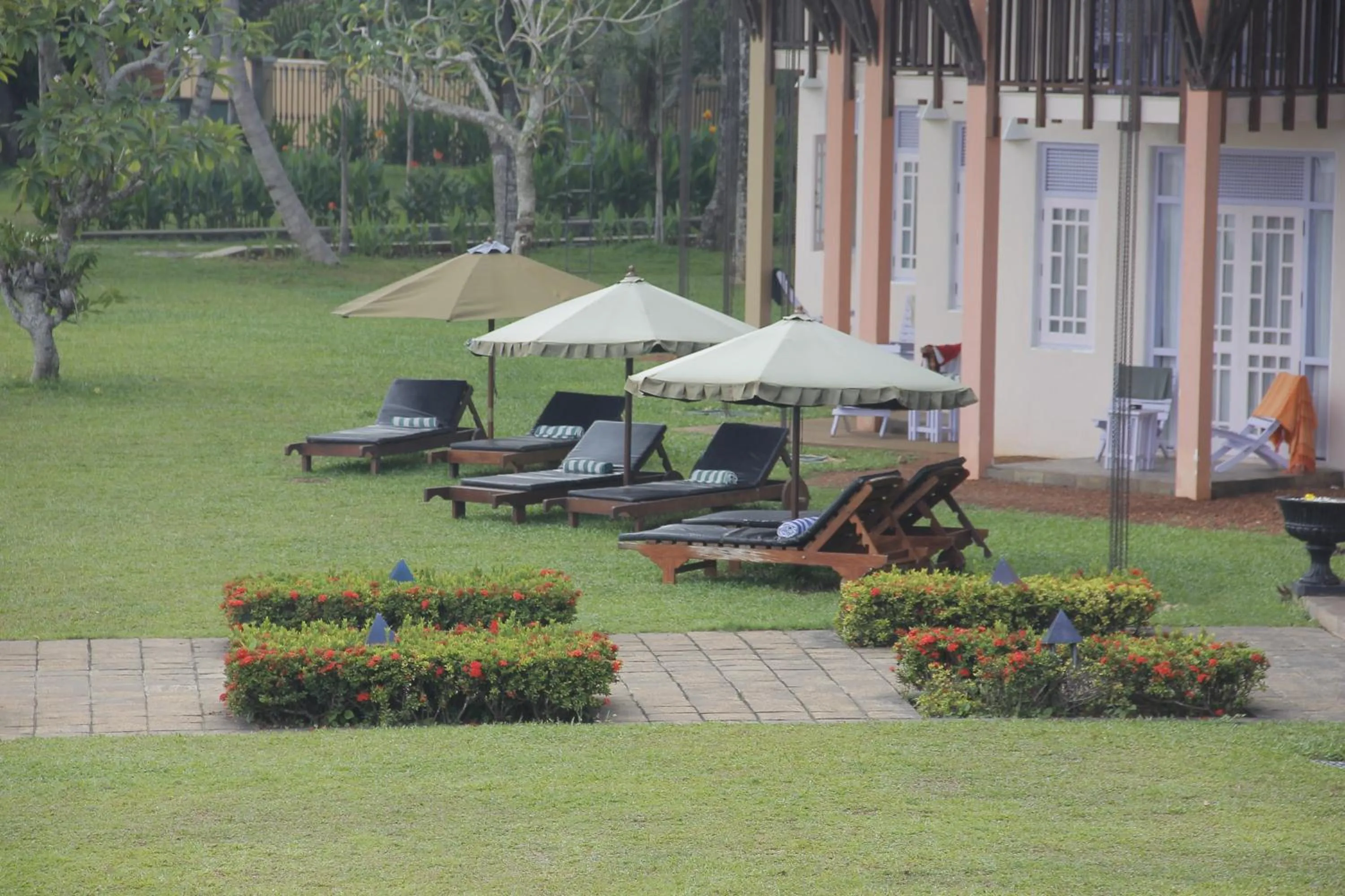 Garden in AIDA Hotel - Bentota