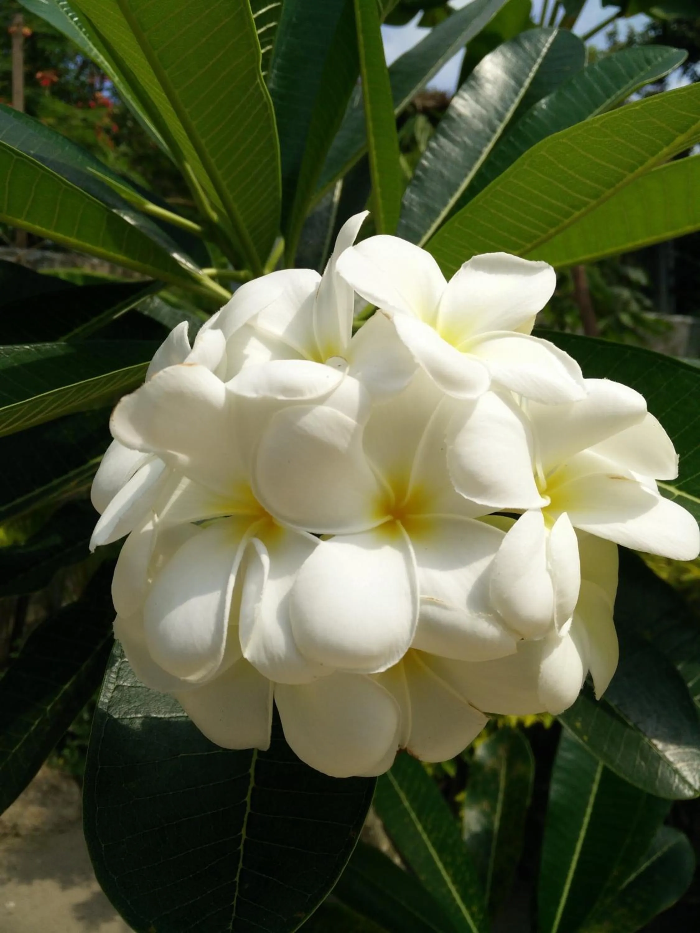 Natural landscape in Benjamin's Hut