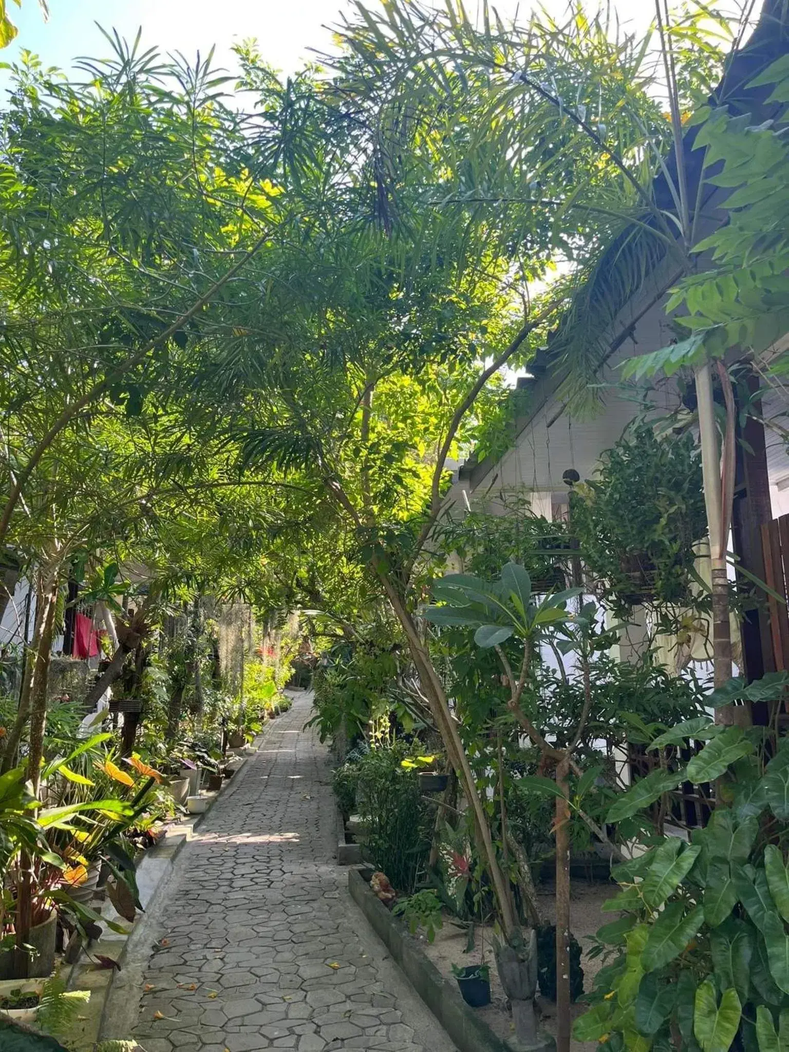Garden view in Benjamin's Hut Garden view in Benjamin's Hut