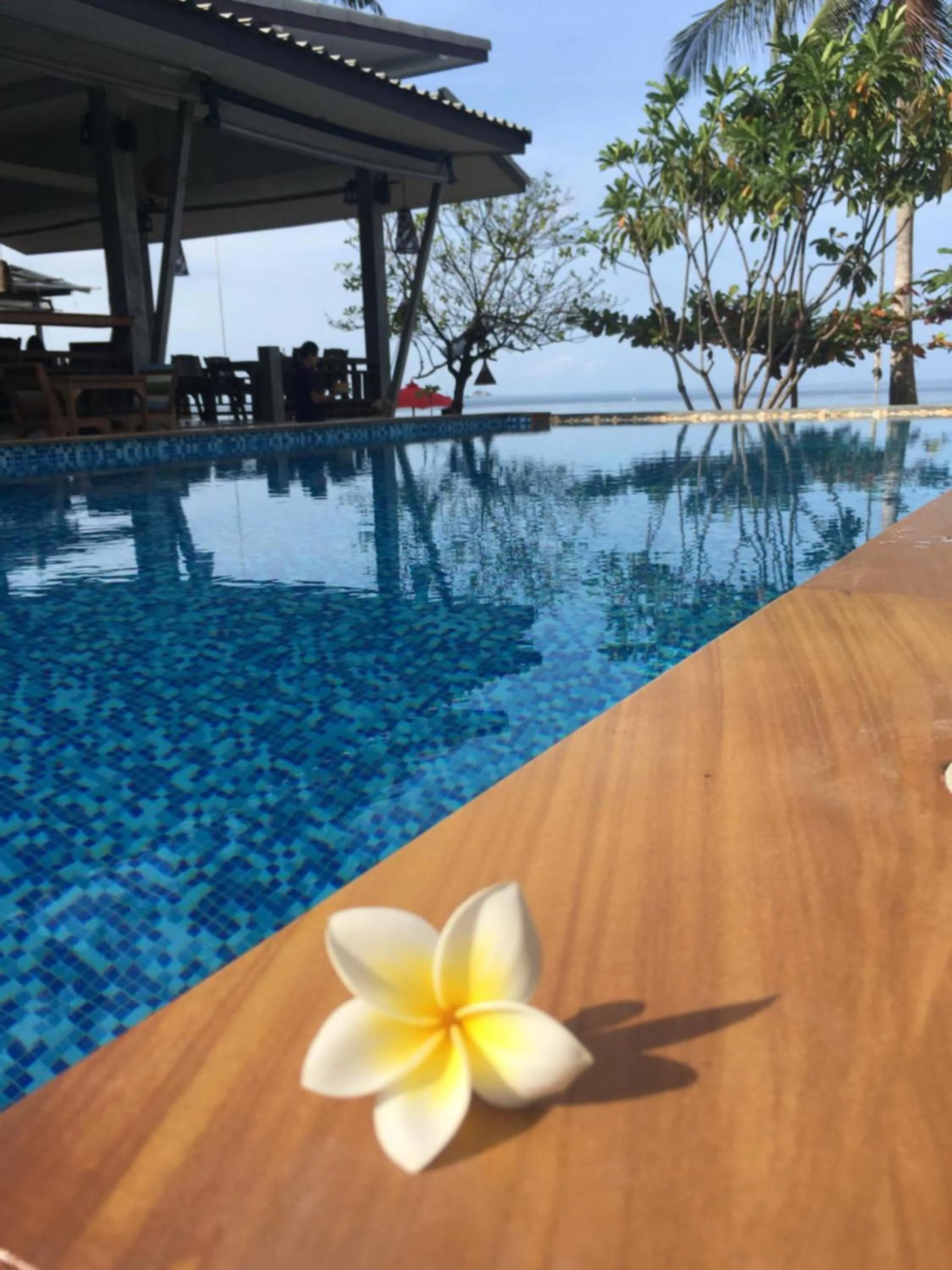 Swimming pool in Benjamin's Hut