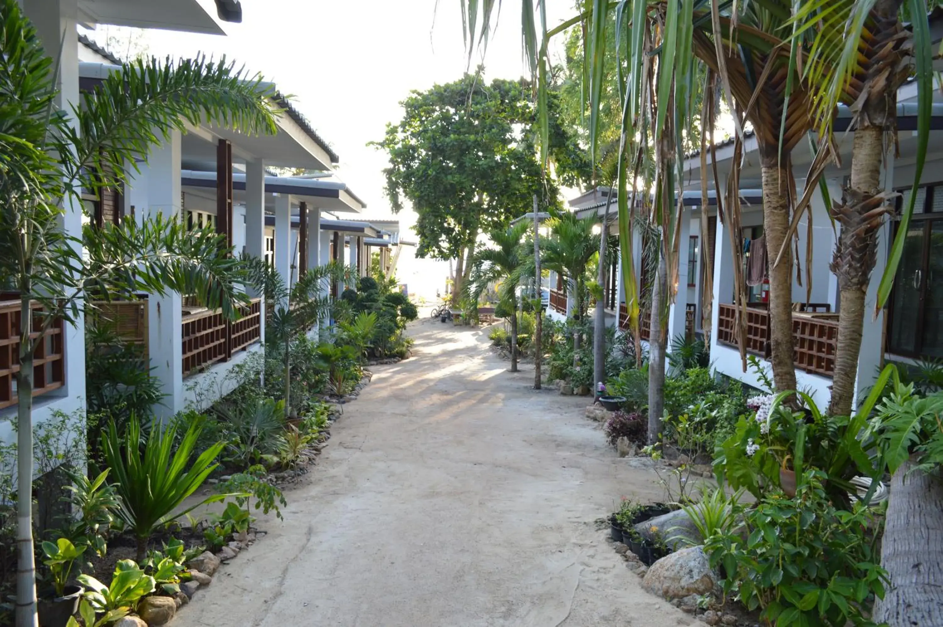 Garden view in Benjamin's Hut Garden view in Benjamin's Hut