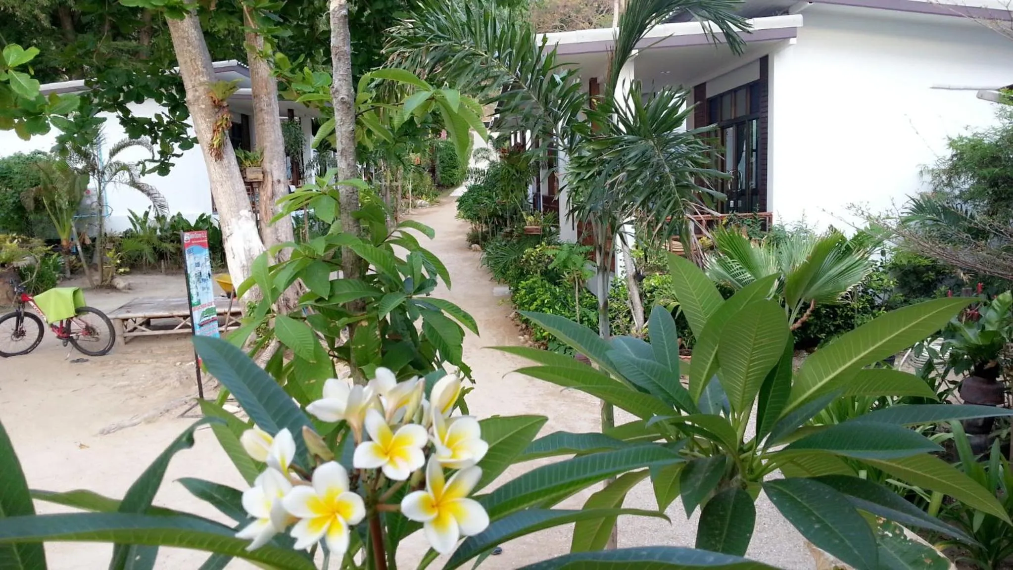 On site in Benjamin's Hut