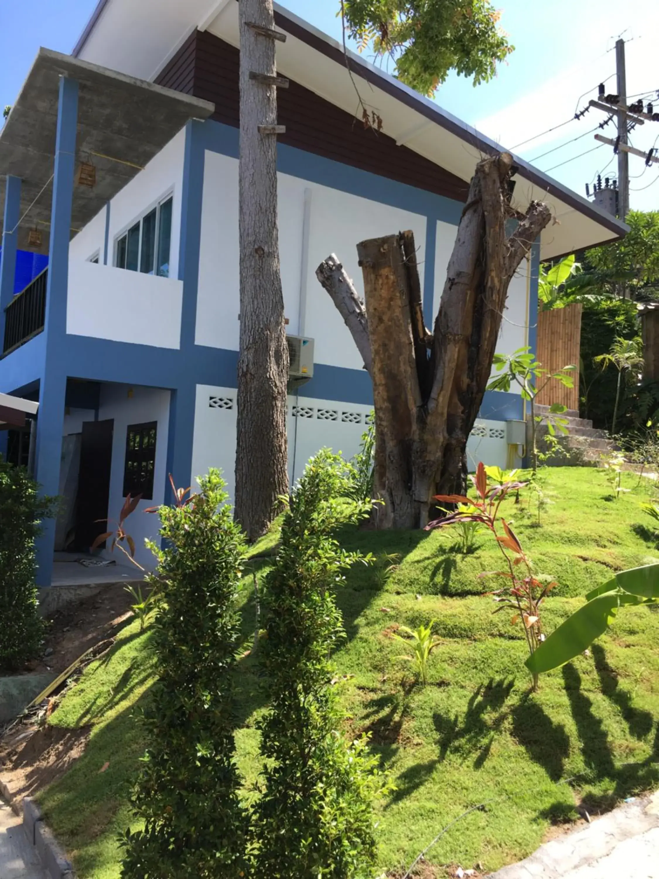 Garden view in Benjamin's Hut Garden view in Benjamin's Hut