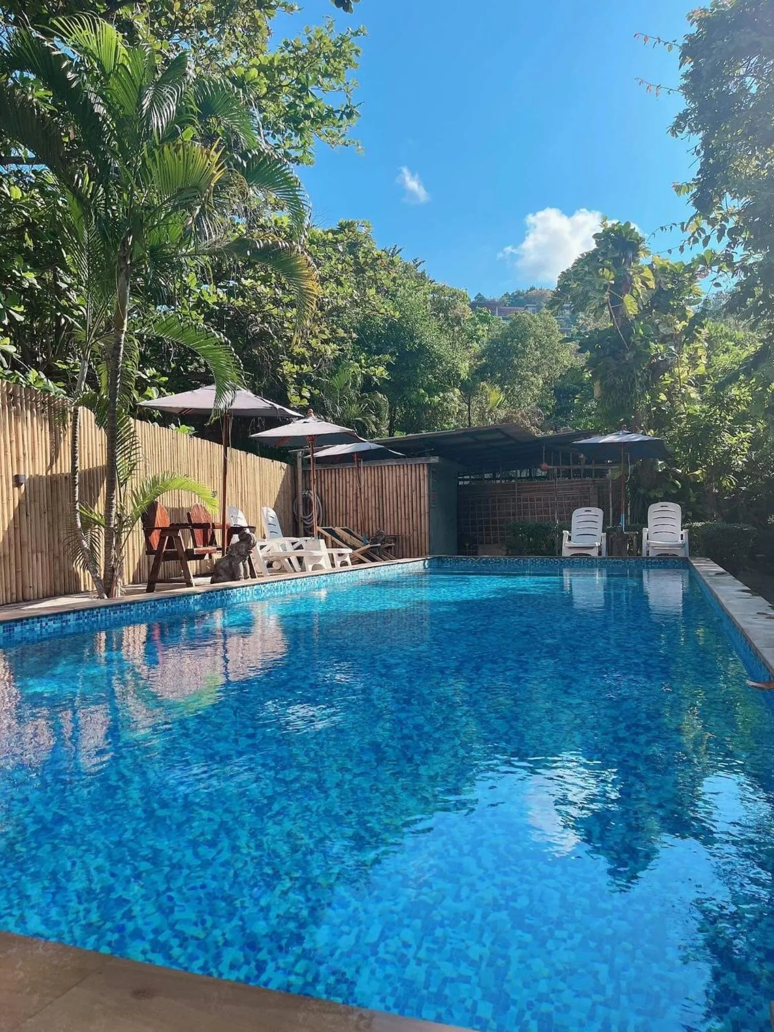 Swimming pool in Benjamin's Hut