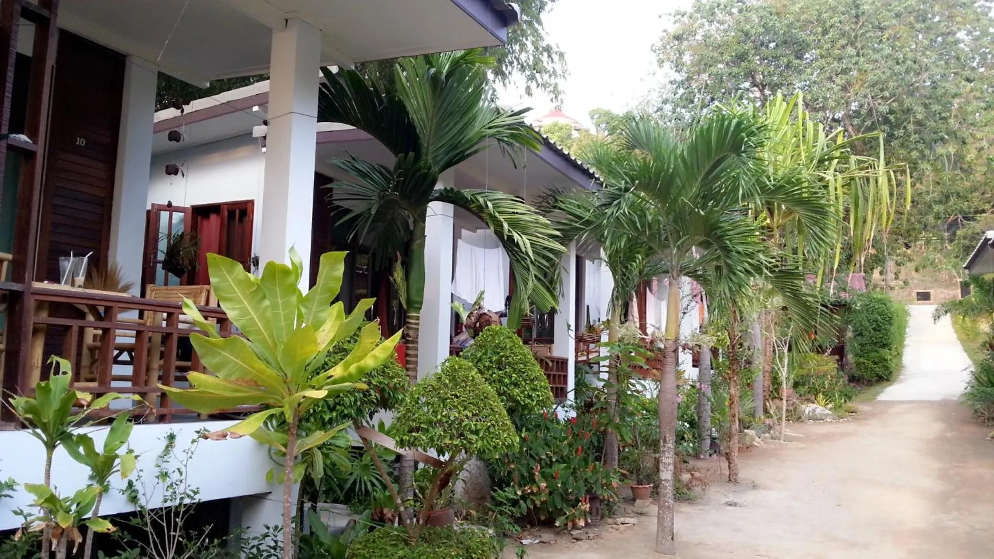Garden view in Benjamin's Hut