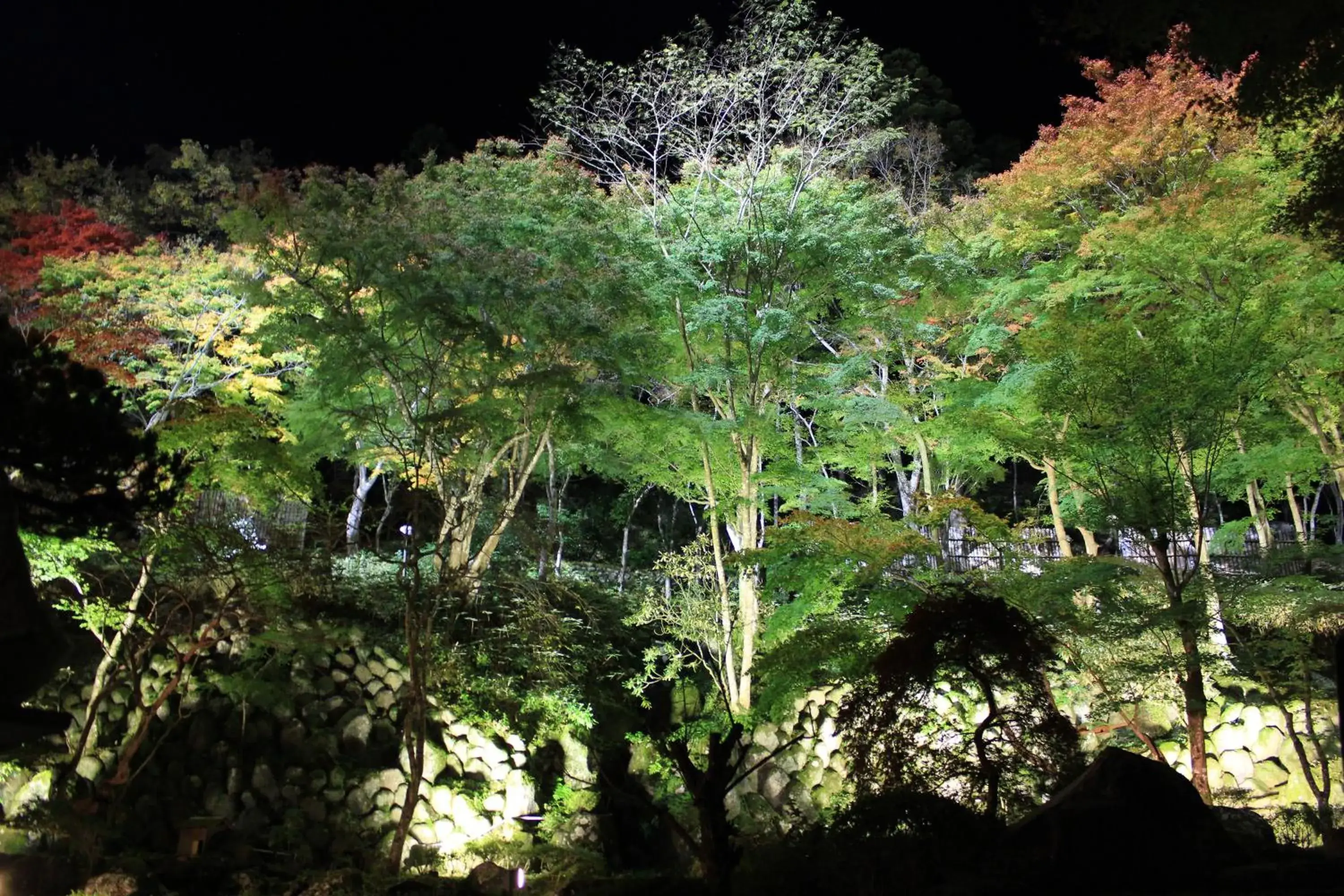 View (from property/room) in Sora Togetsusoukinryu View (from property/room) in Sora Togetsusoukinryu