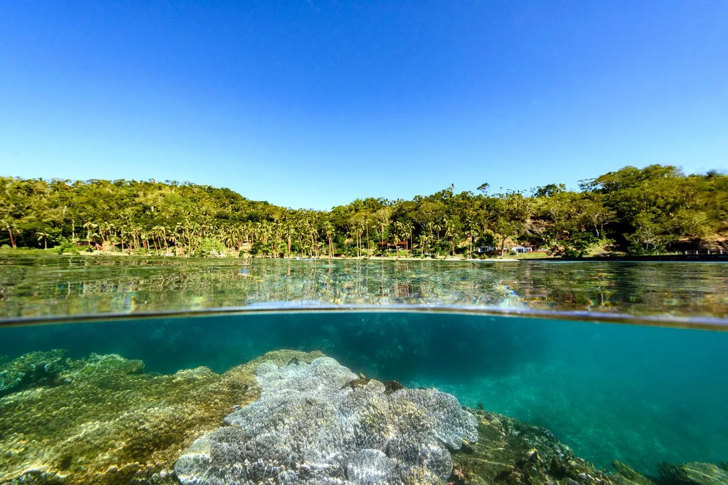 Day in The Remote Resort