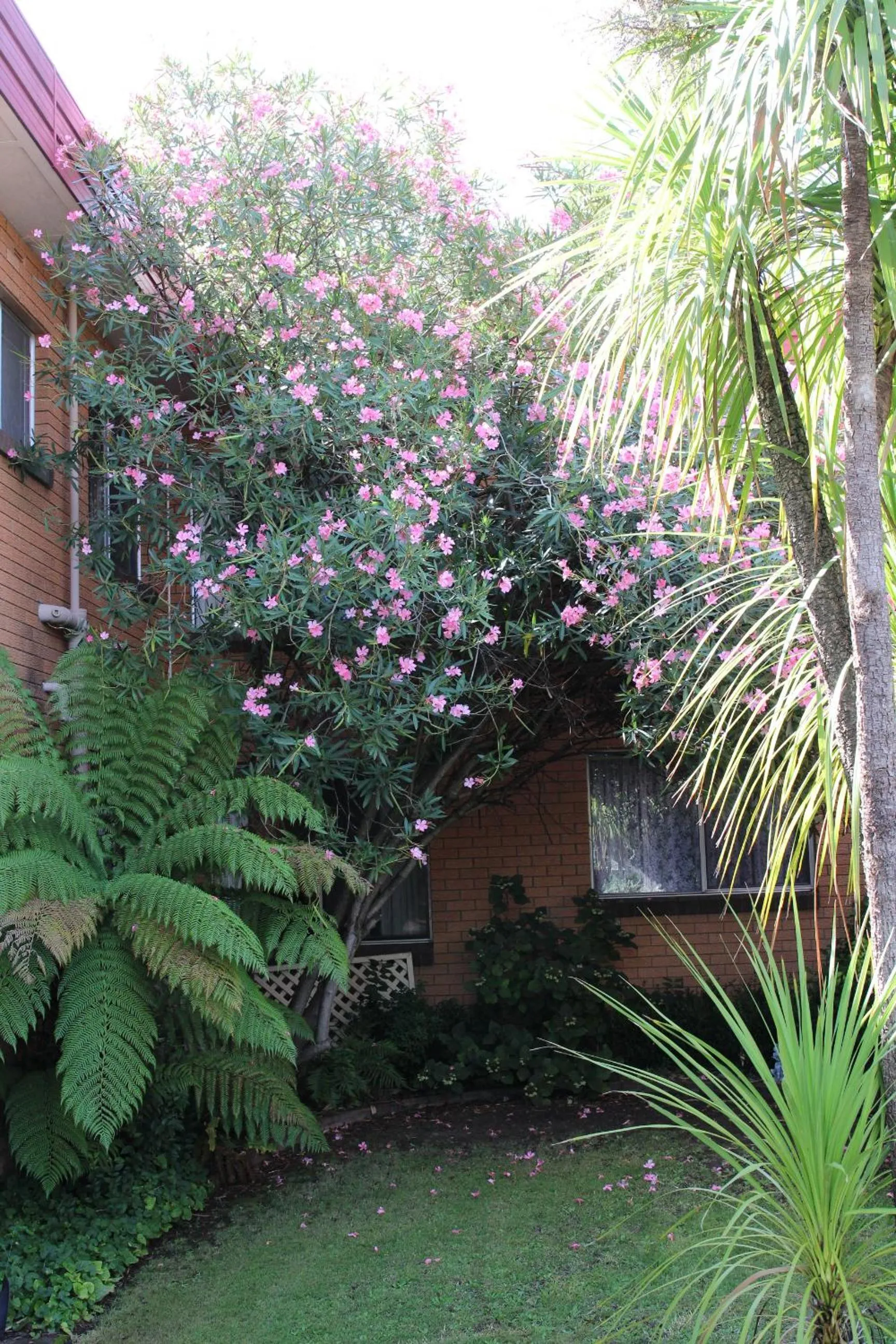 Property building in Westwood Motor Inn