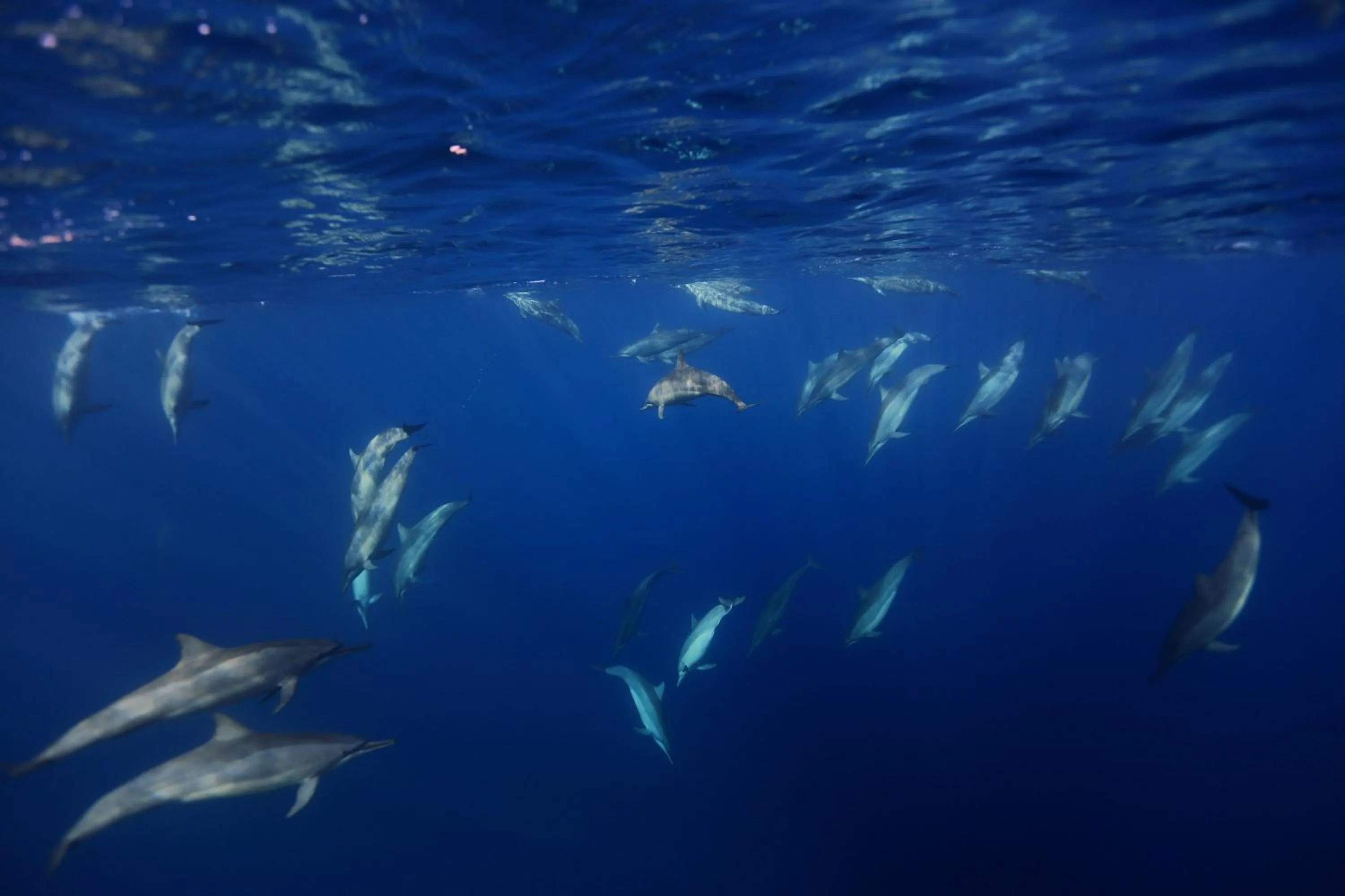 Sports in Kokopo Beach Bungalow Resort