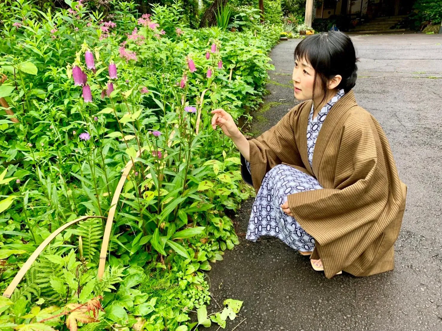 Garden in Kirishimaya Ryokan