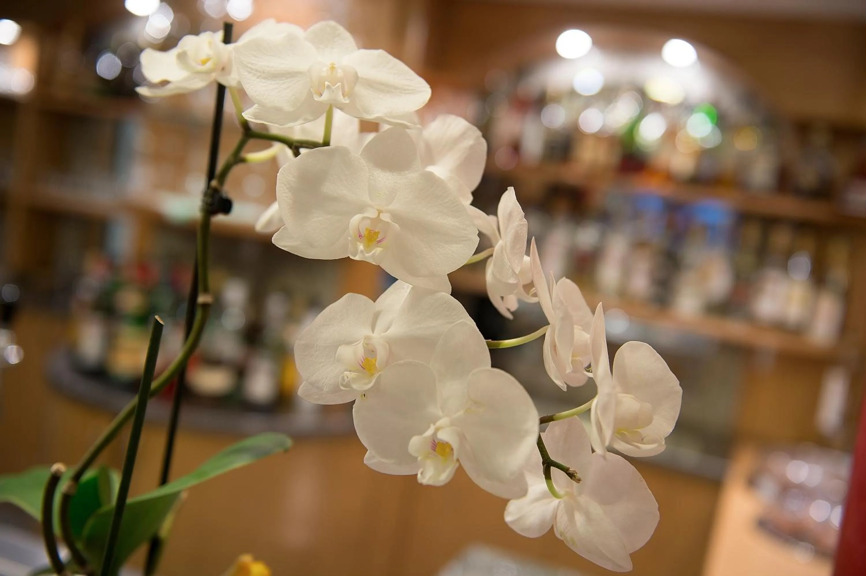 Decorative detail in Hotel St. Michael
