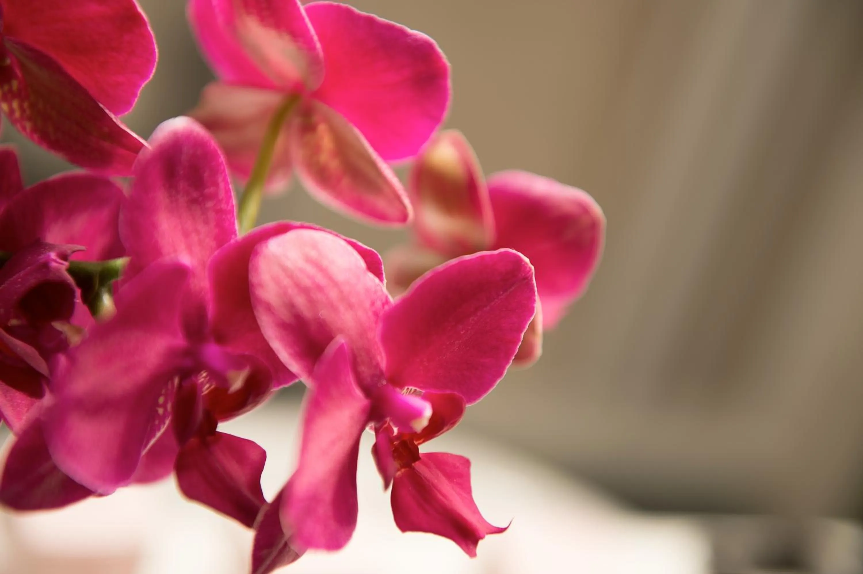 Decorative detail in Hotel St. Michael