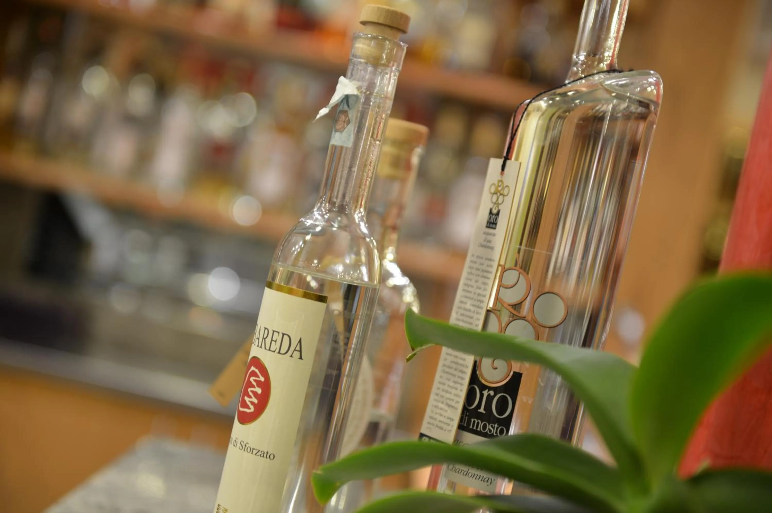 Decorative detail in Hotel St. Michael