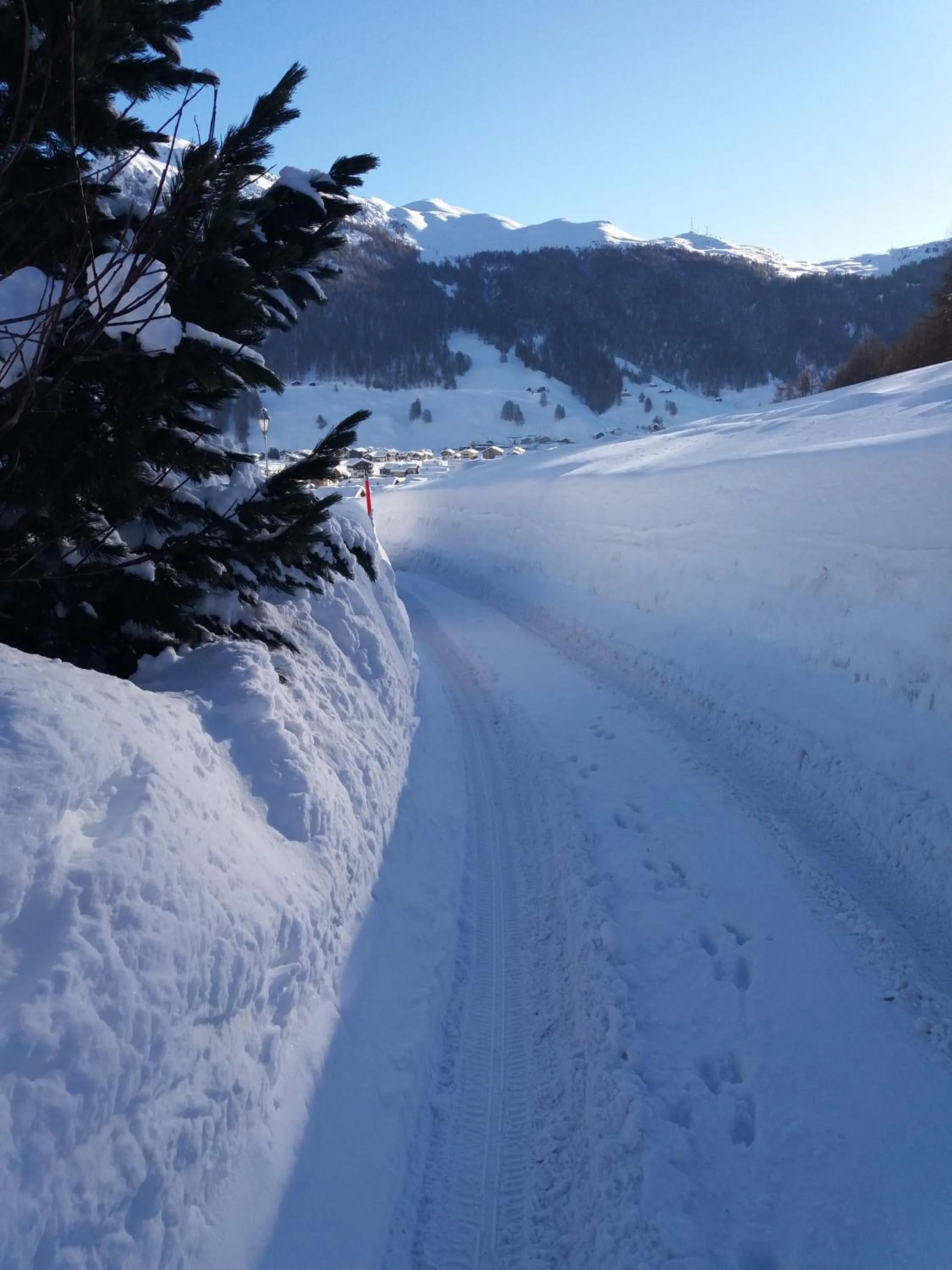 Natural landscape in Hotel St. Michael