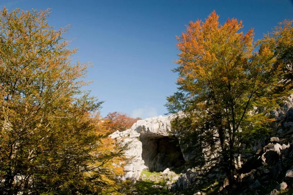 Natural landscape in Casa Rural Etxegorri