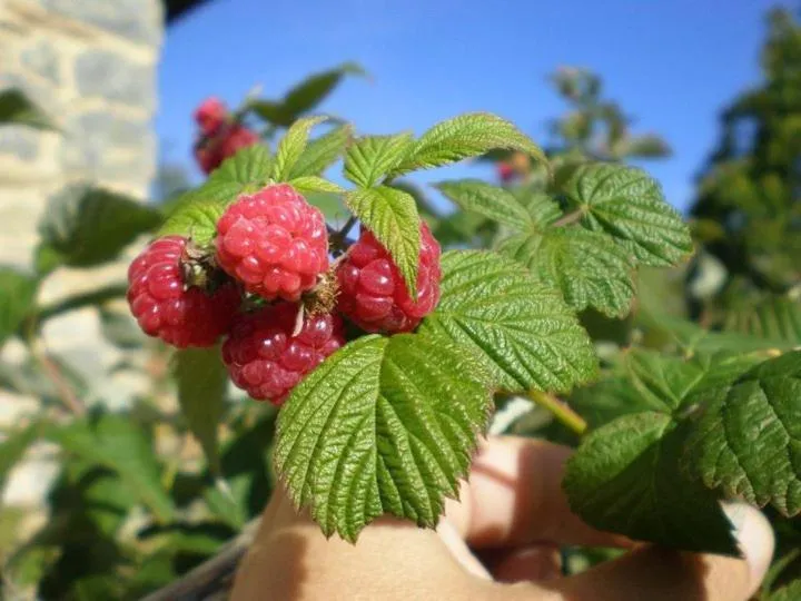 Spring in Casa Rural Etxegorri