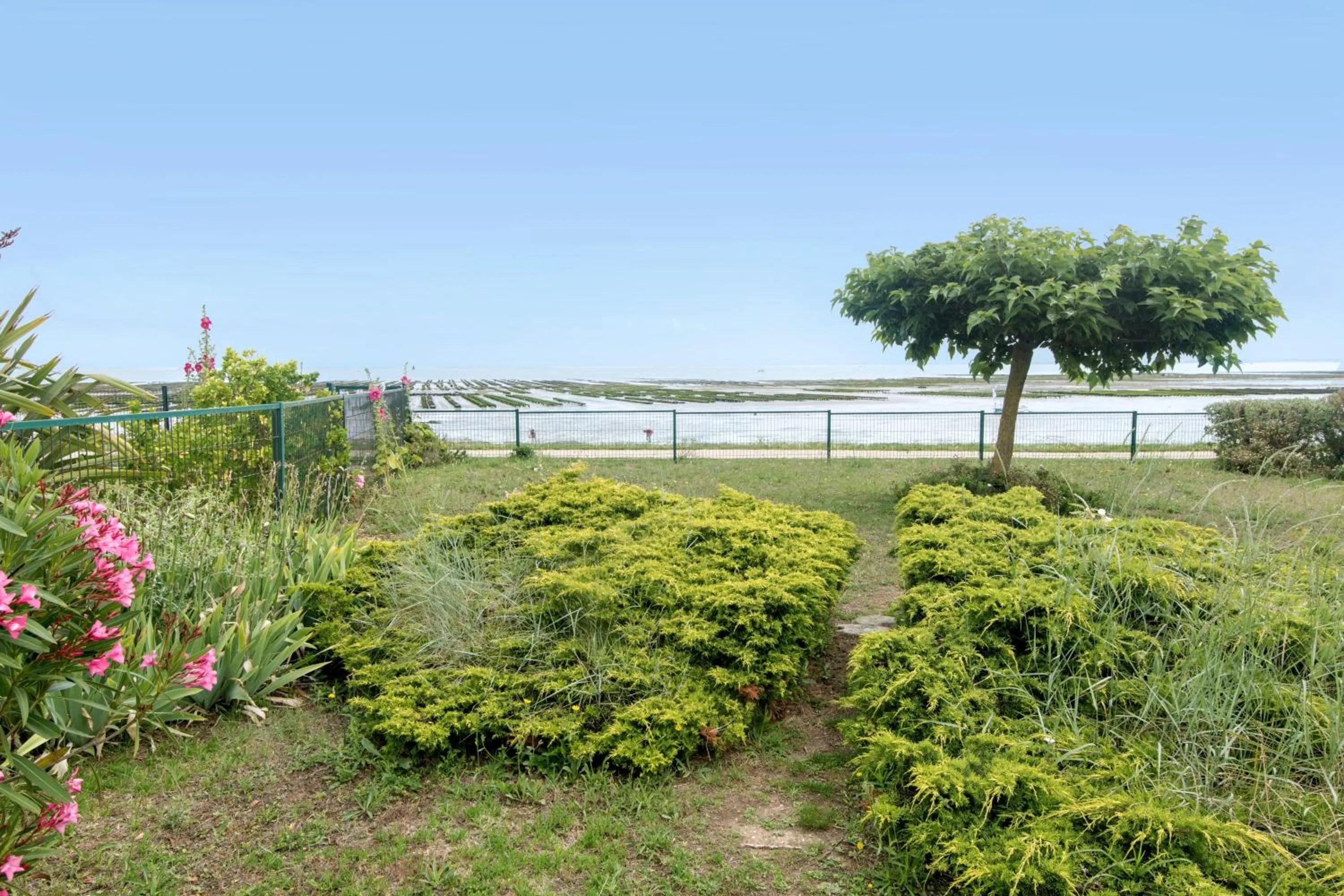 Garden in Maison Trémiere