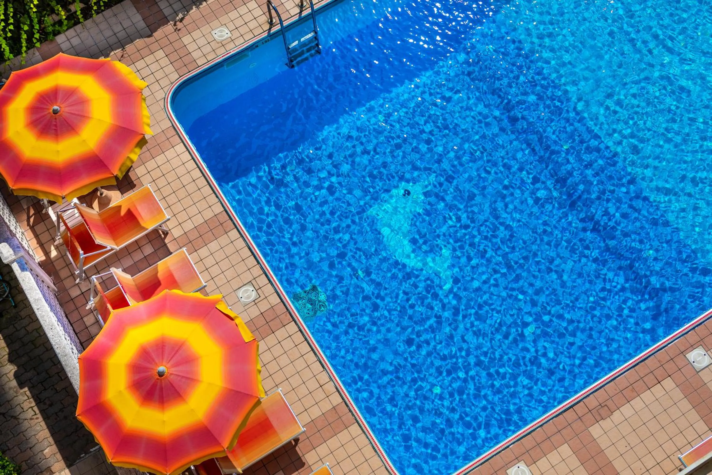 Pool view in Hotel Jalisco