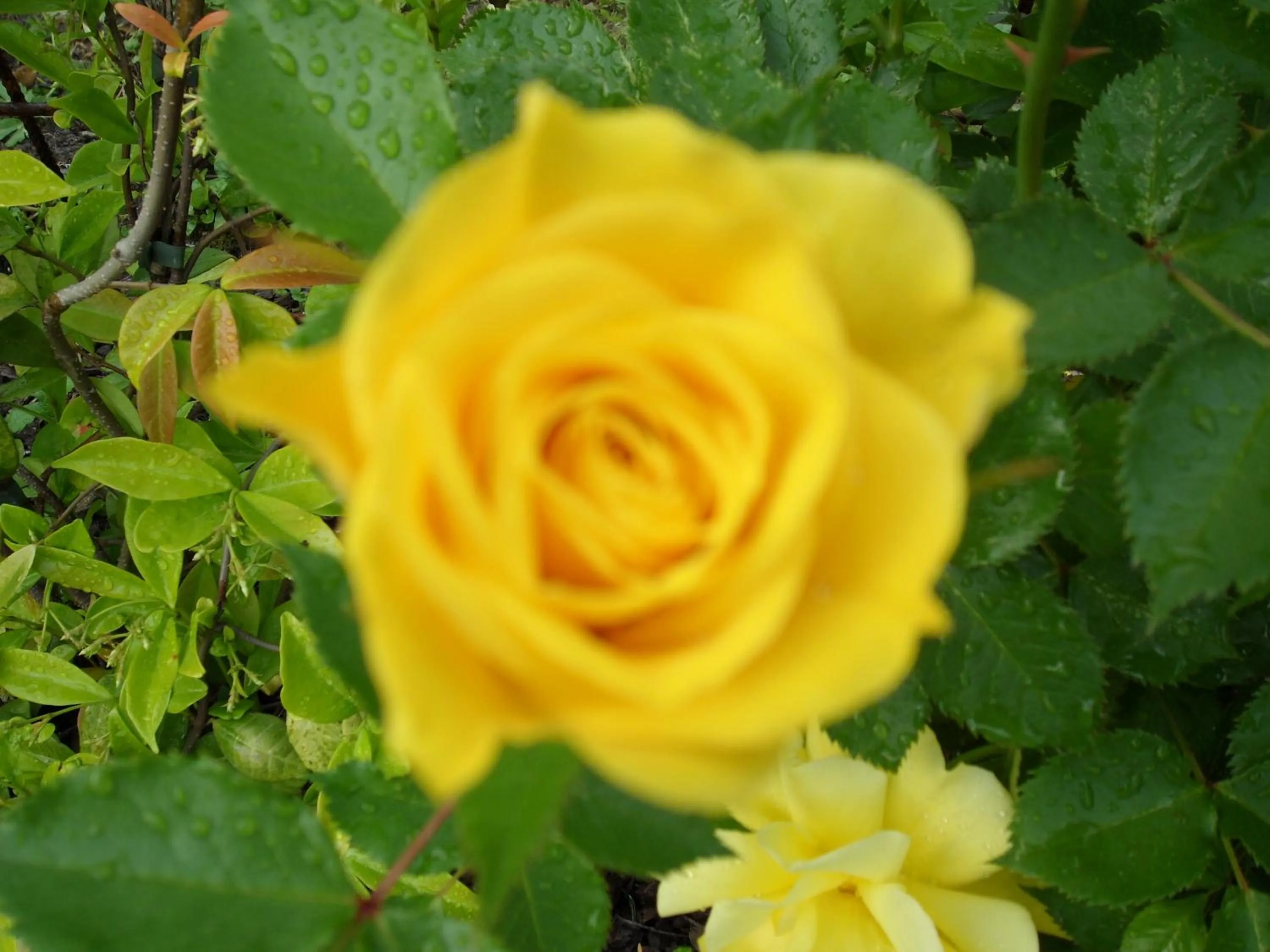 Other in Hotel FleurAlp