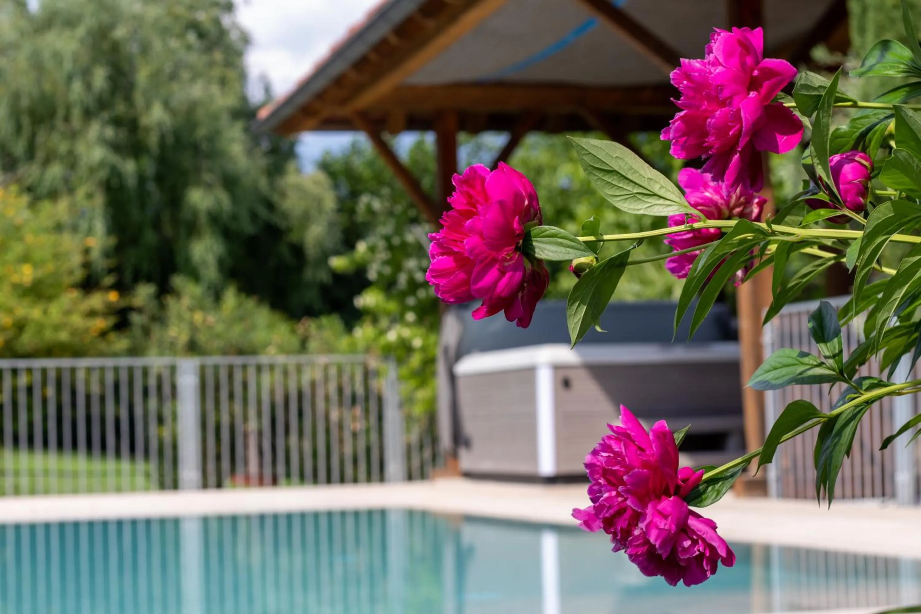 Swimming pool in Hotel FleurAlp