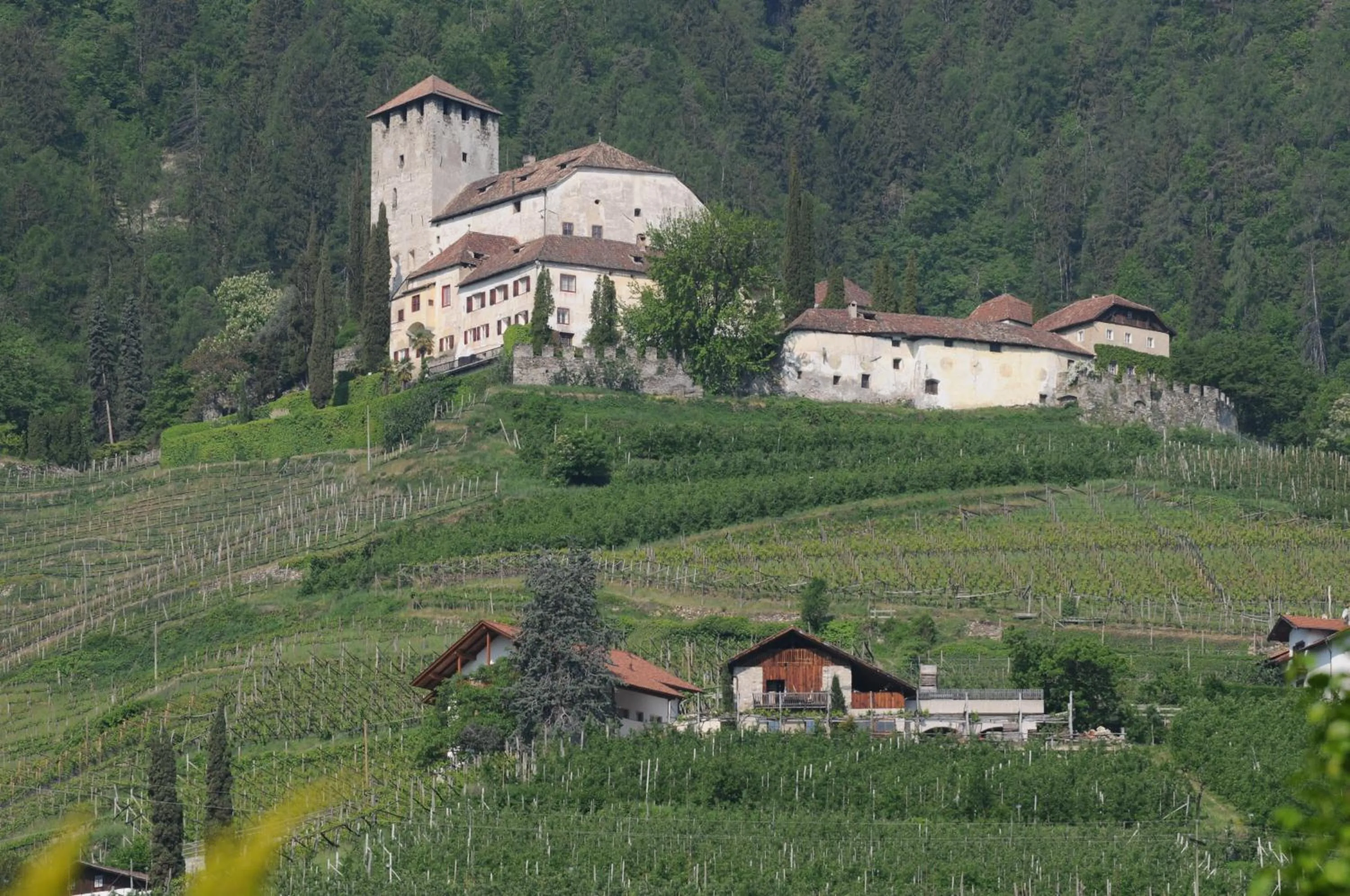 Area and facilities in Hotel FleurAlp