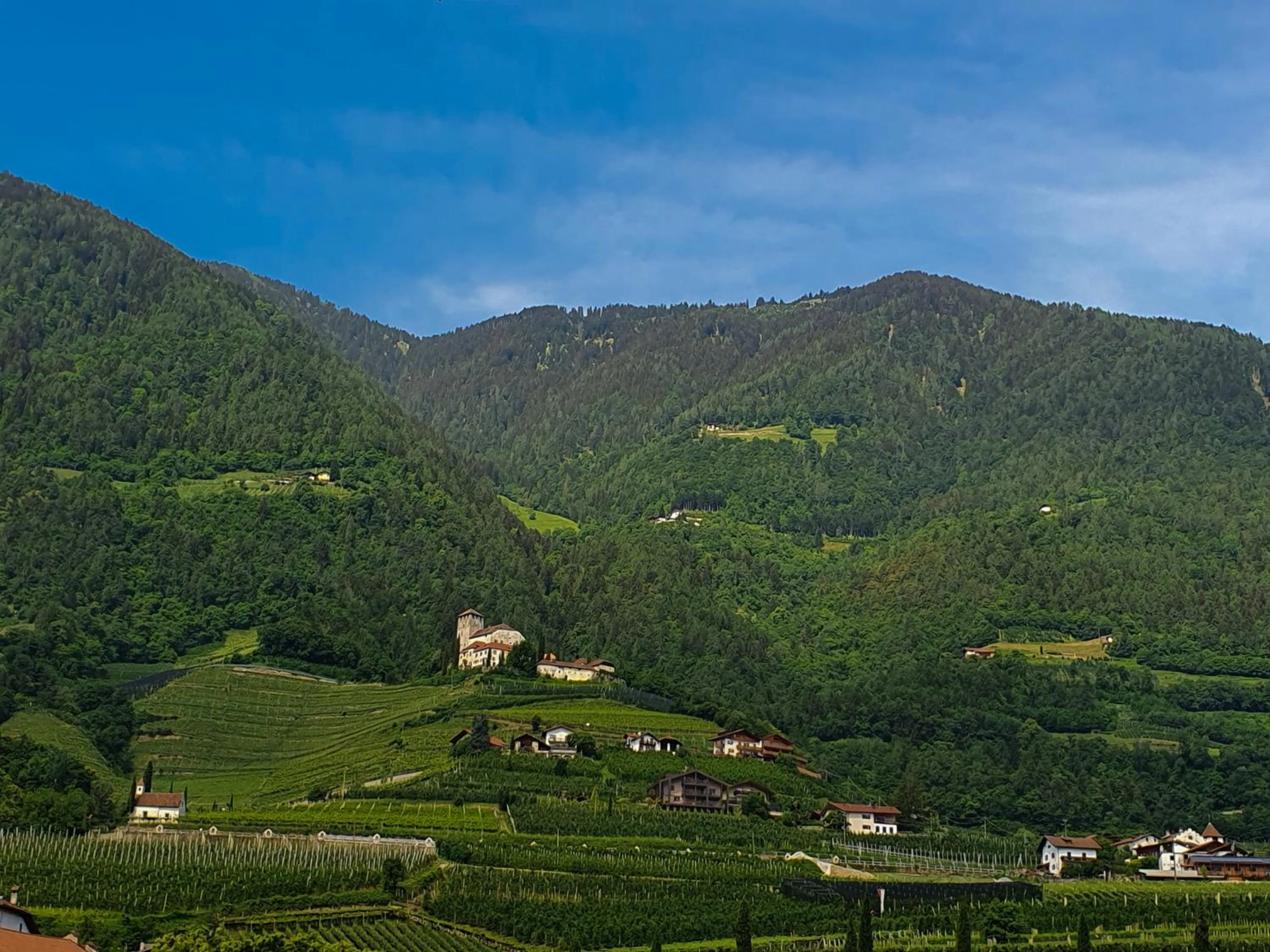 On site in Hotel FleurAlp