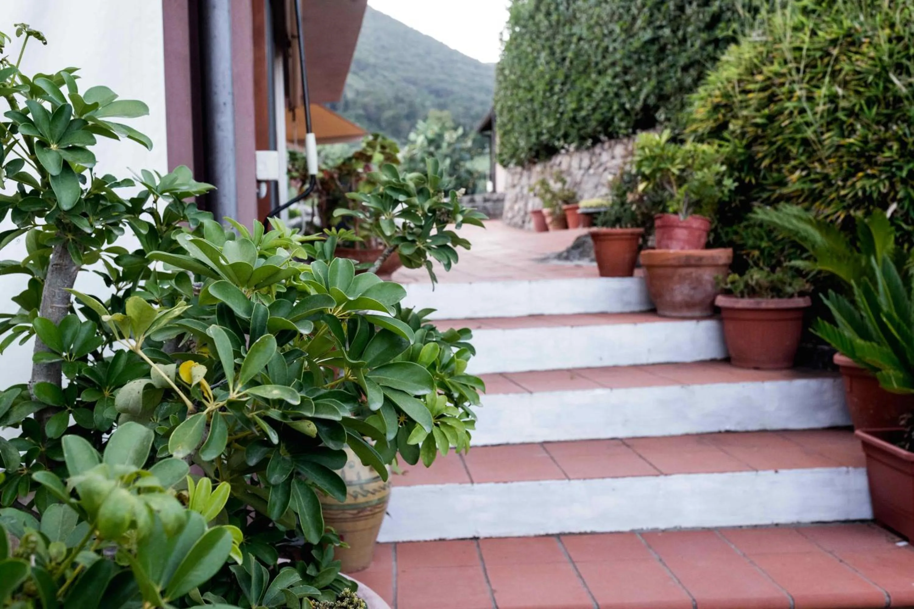 Property building in Villa Ida Bed & Breakfast