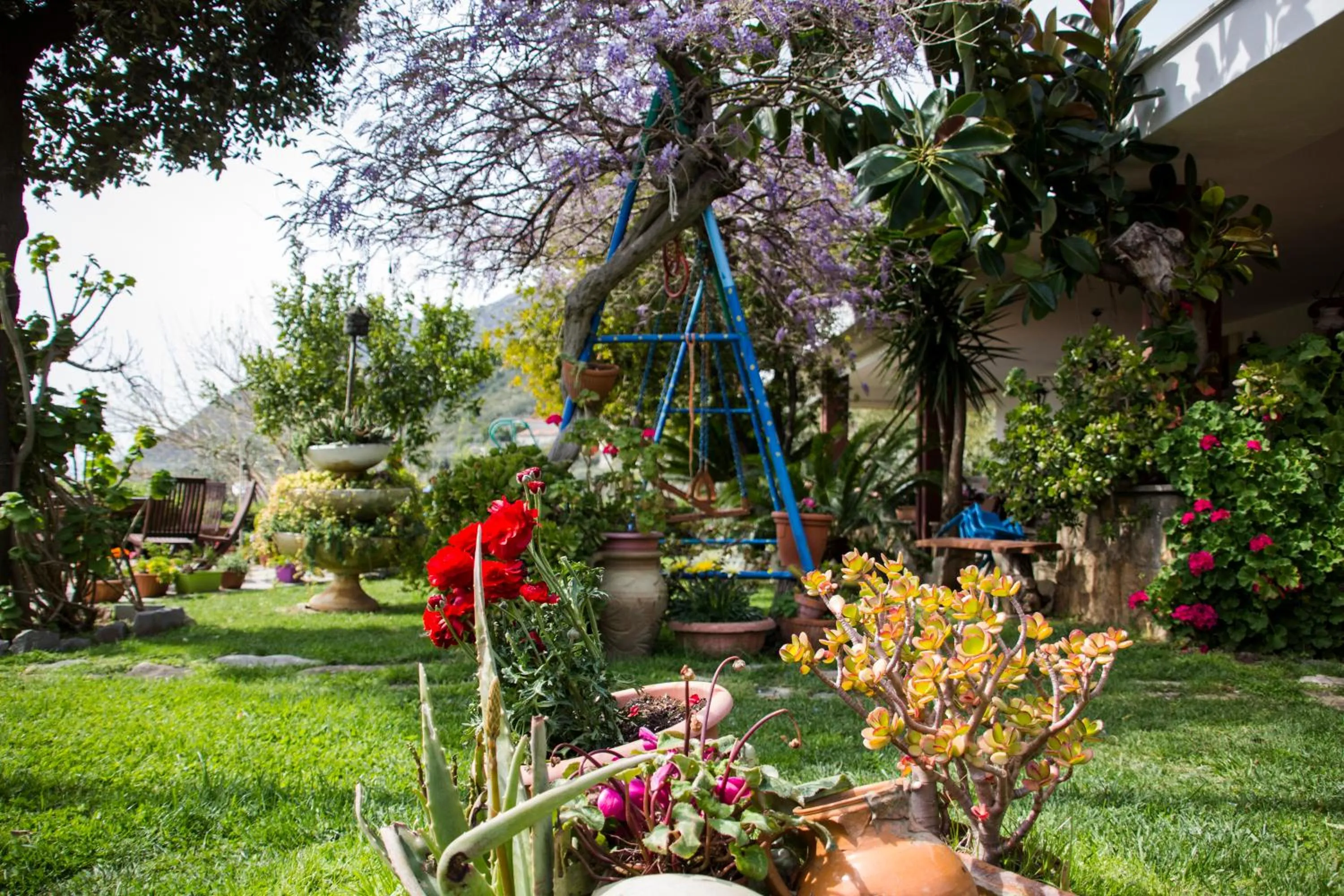 Garden in Villa Ida Bed & Breakfast