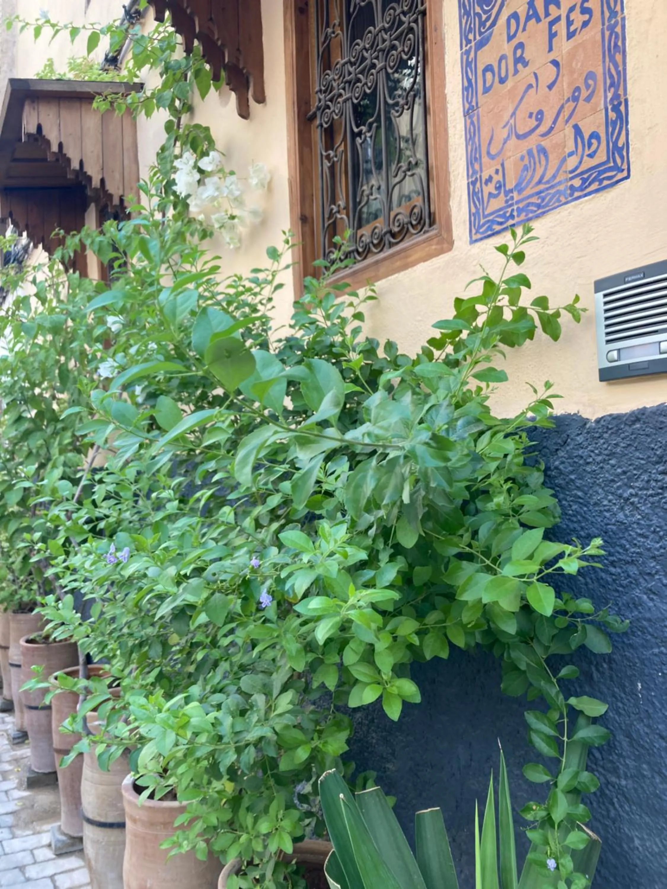 Property building in Dar D'or Fes