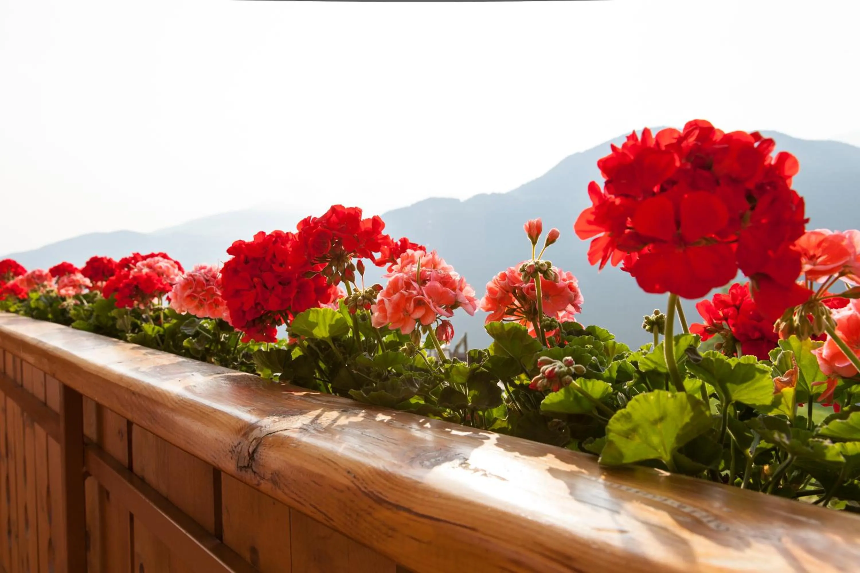 Hotel-Chalet Pennhof