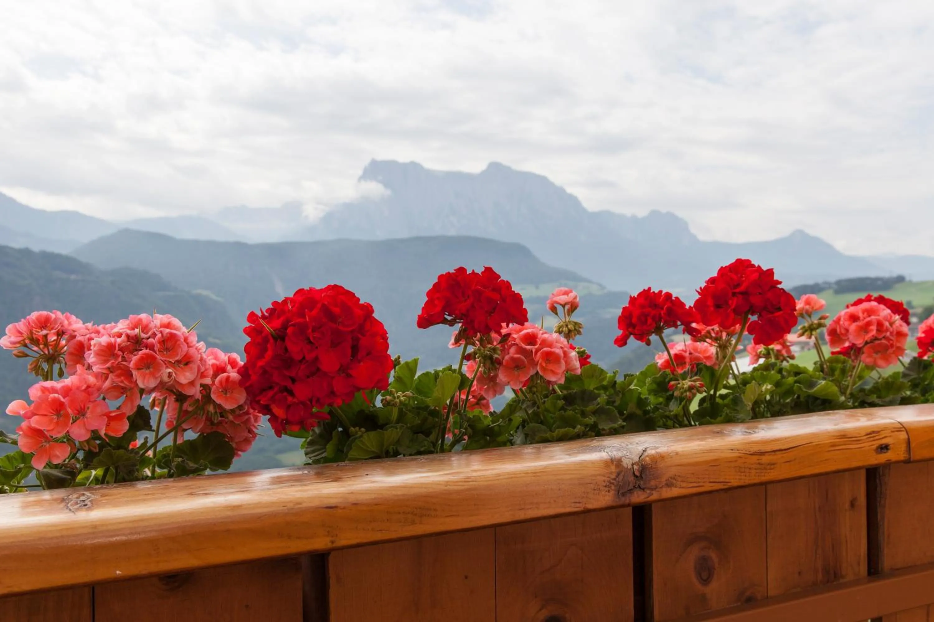 Hotel-Chalet Pennhof
