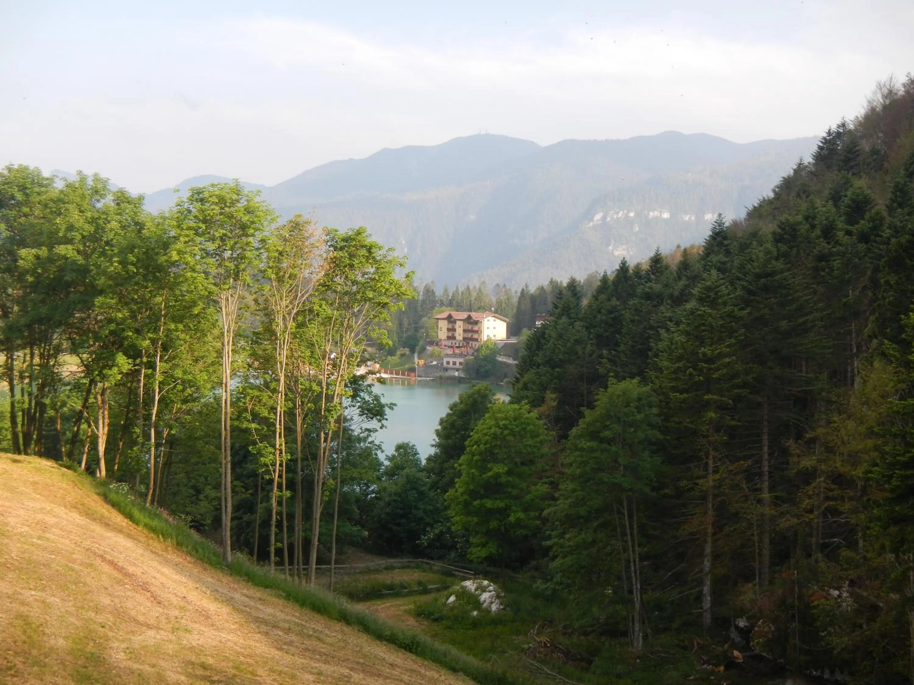 Natural landscape in Hotel Al Lago