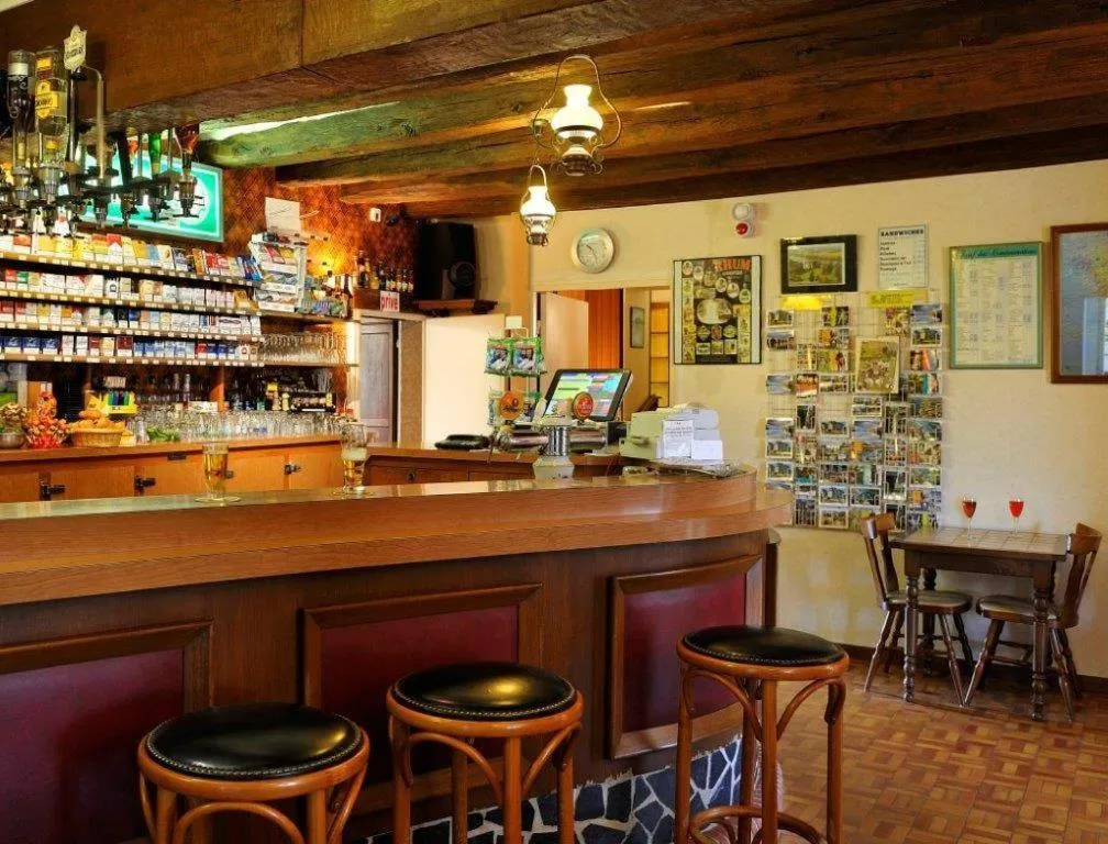 Lounge or bar in Hôtel Auberge de la Bonde logis