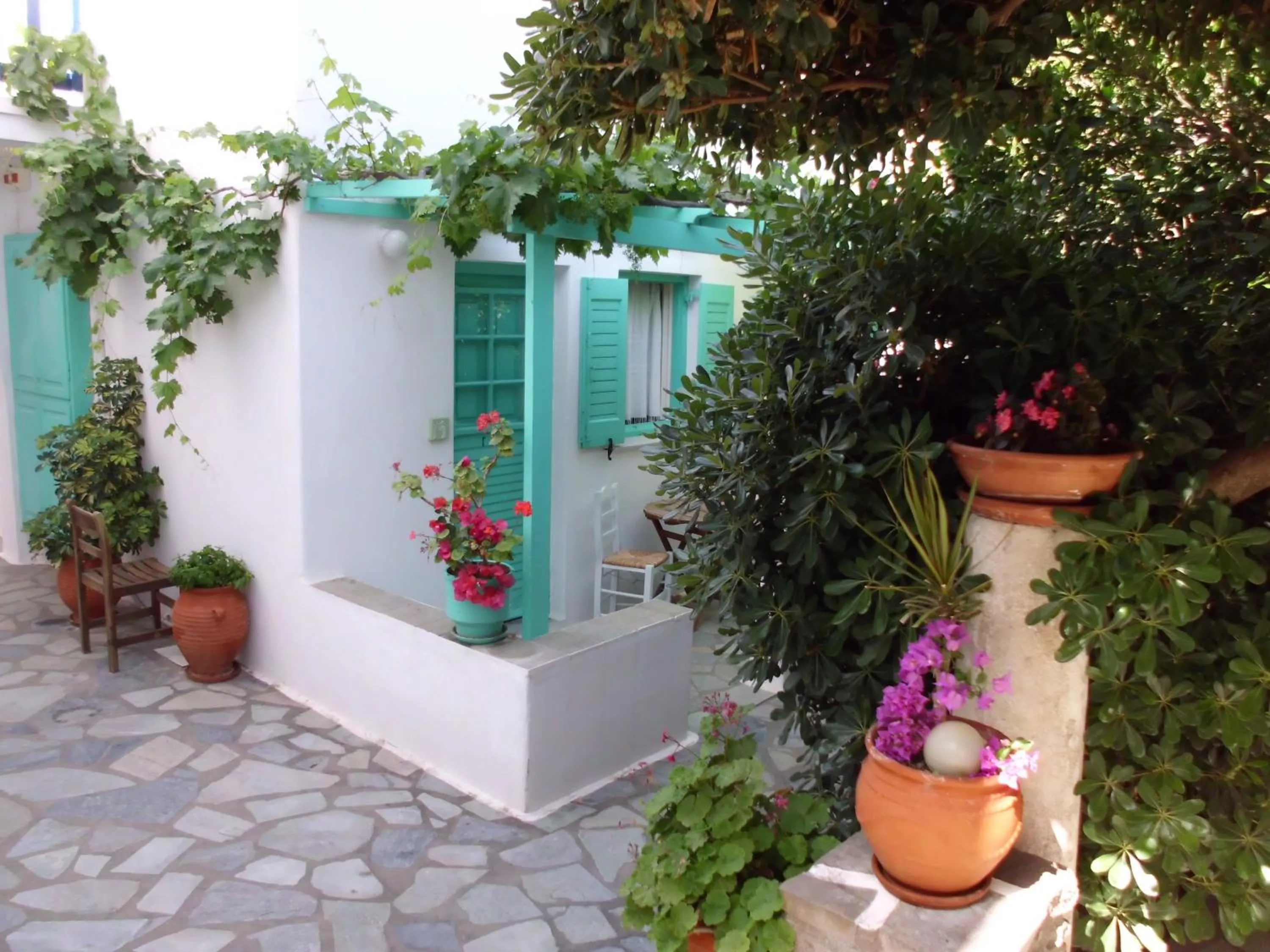 Spring in Aegean Village