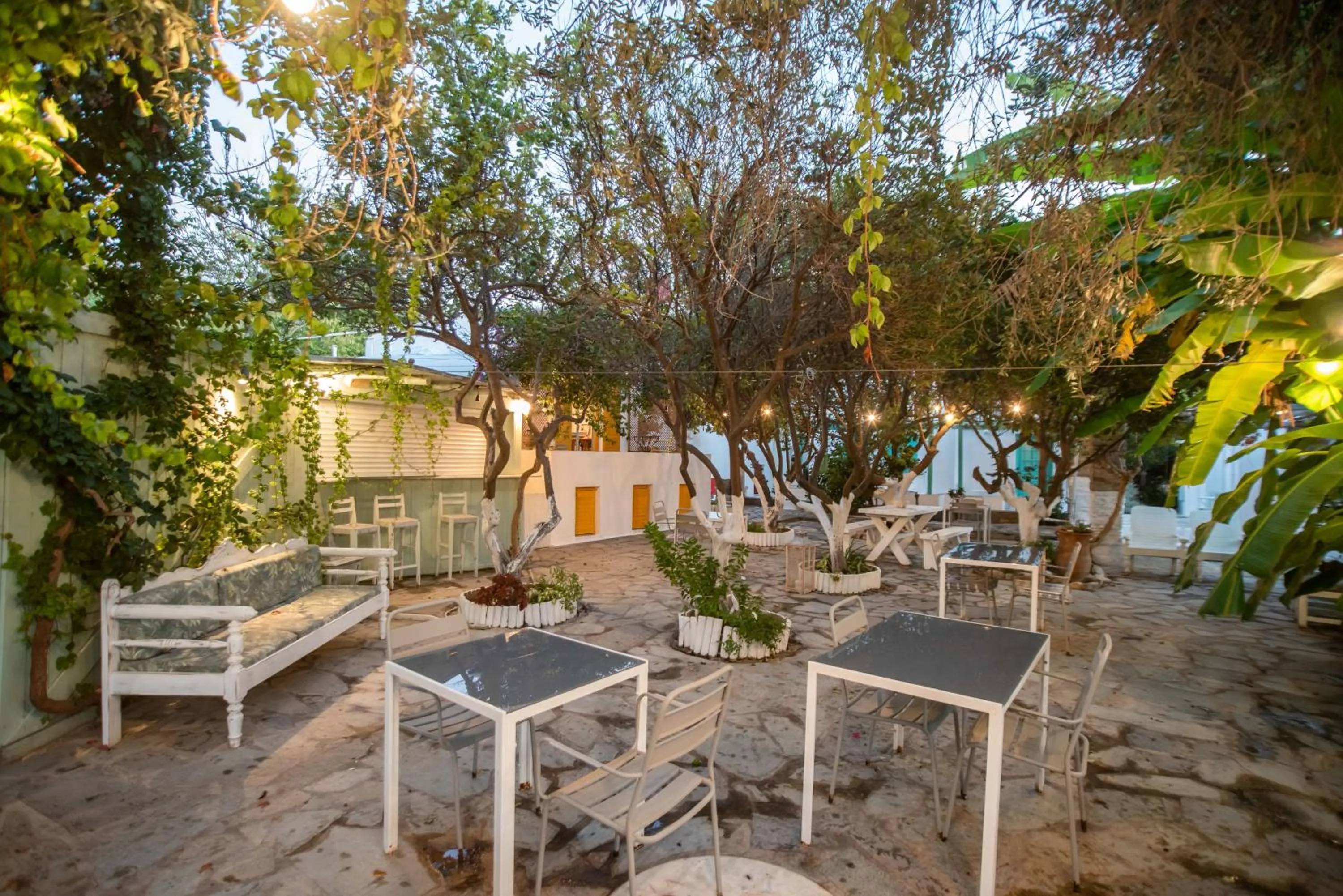 Garden in Aegean Village