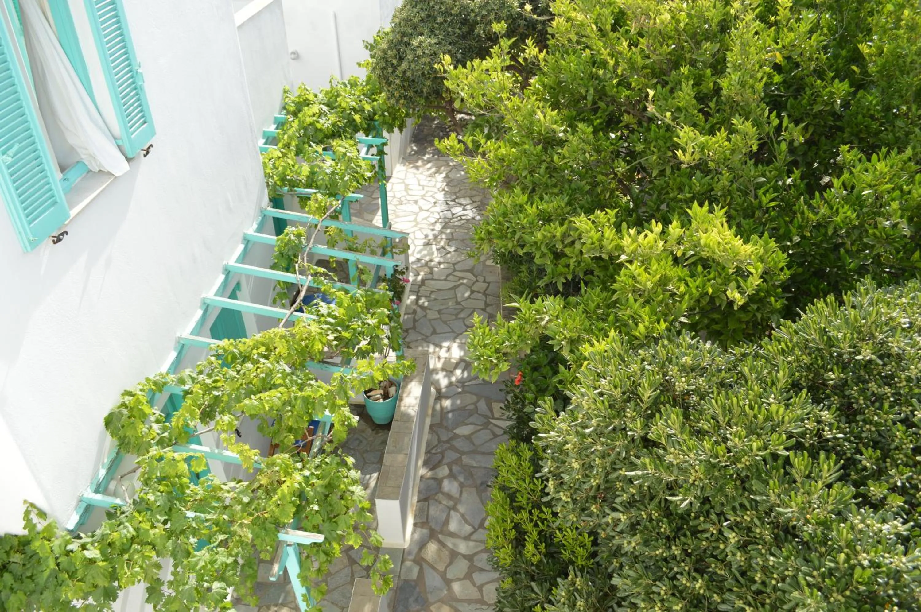 Spring in Aegean Village